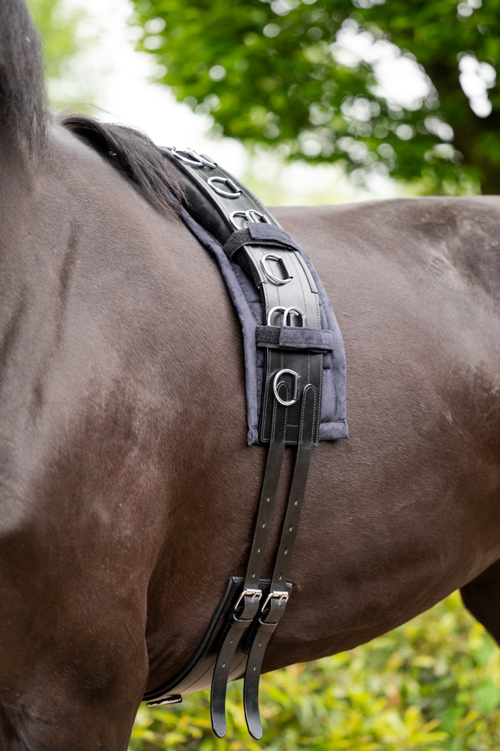 HB Showtime Deluxe Leather Lunge Girth