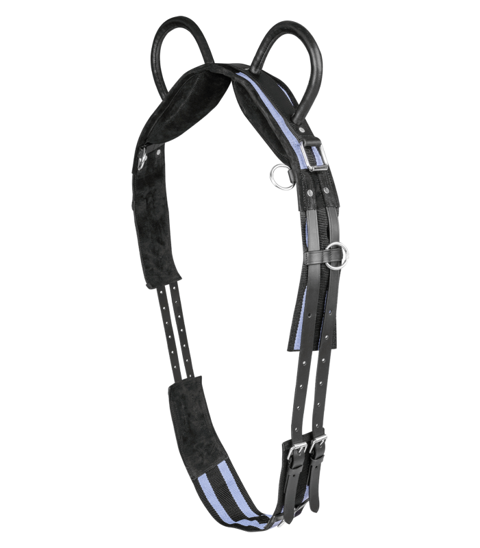 Waldhausen Lunging girth with two handles synthetic