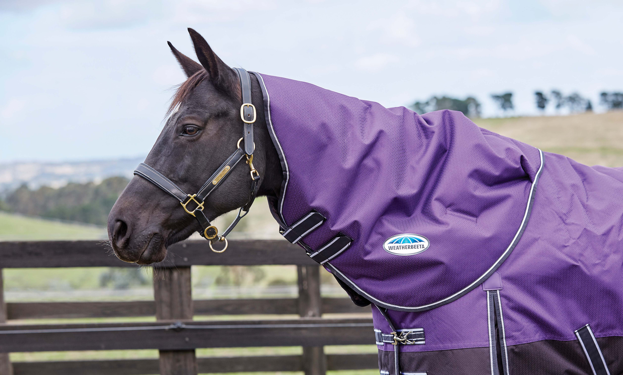 WeatherBeeta ComFiTec Comfitec Plus Dynamic Neck Purple/Black
