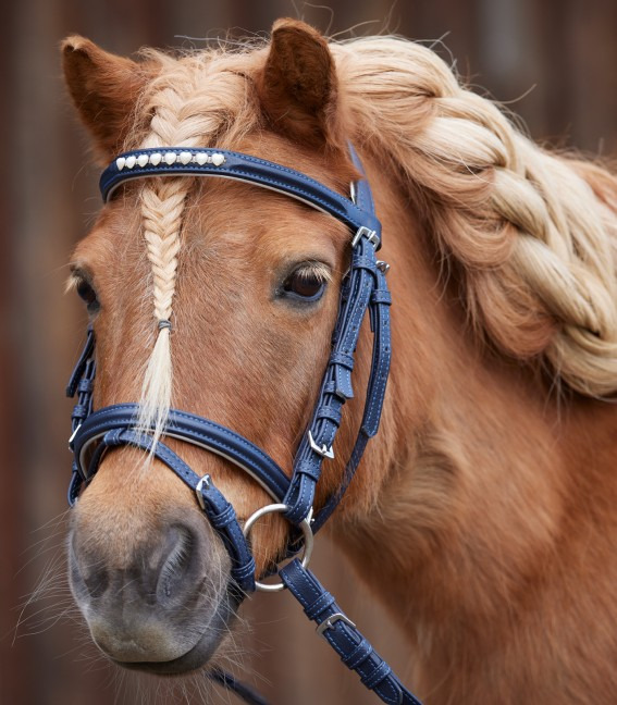 Waldhausen Lucky Heart Mini Bridle