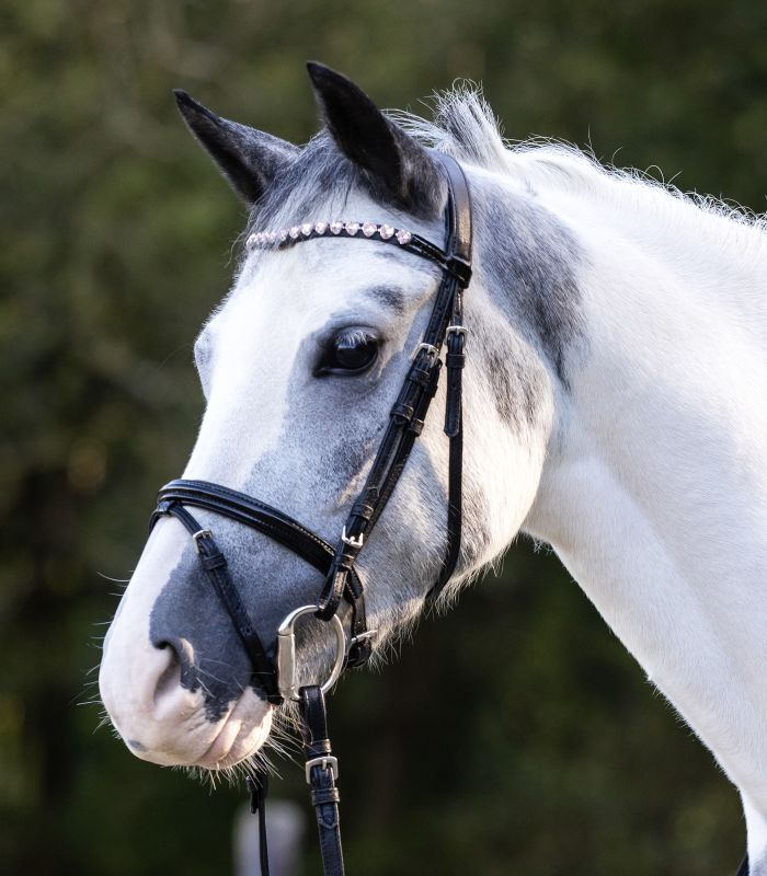 Waldhausen Bridle Happy Hearts