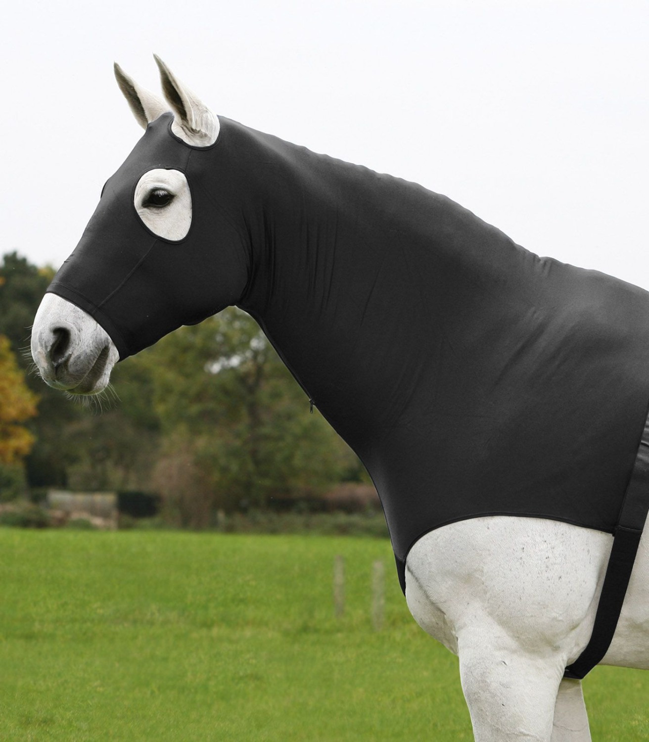 Waldhausen Combination Hood COMFORT