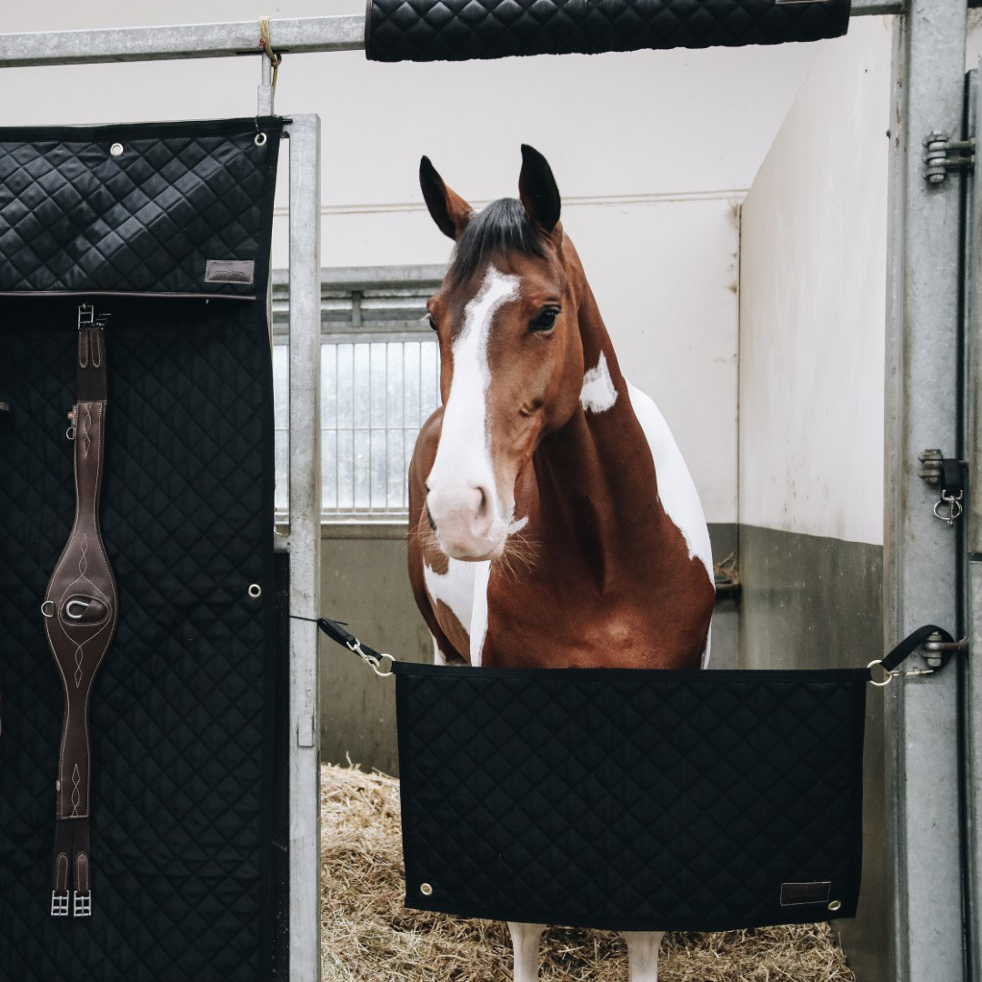 Kentucky Stable Guard