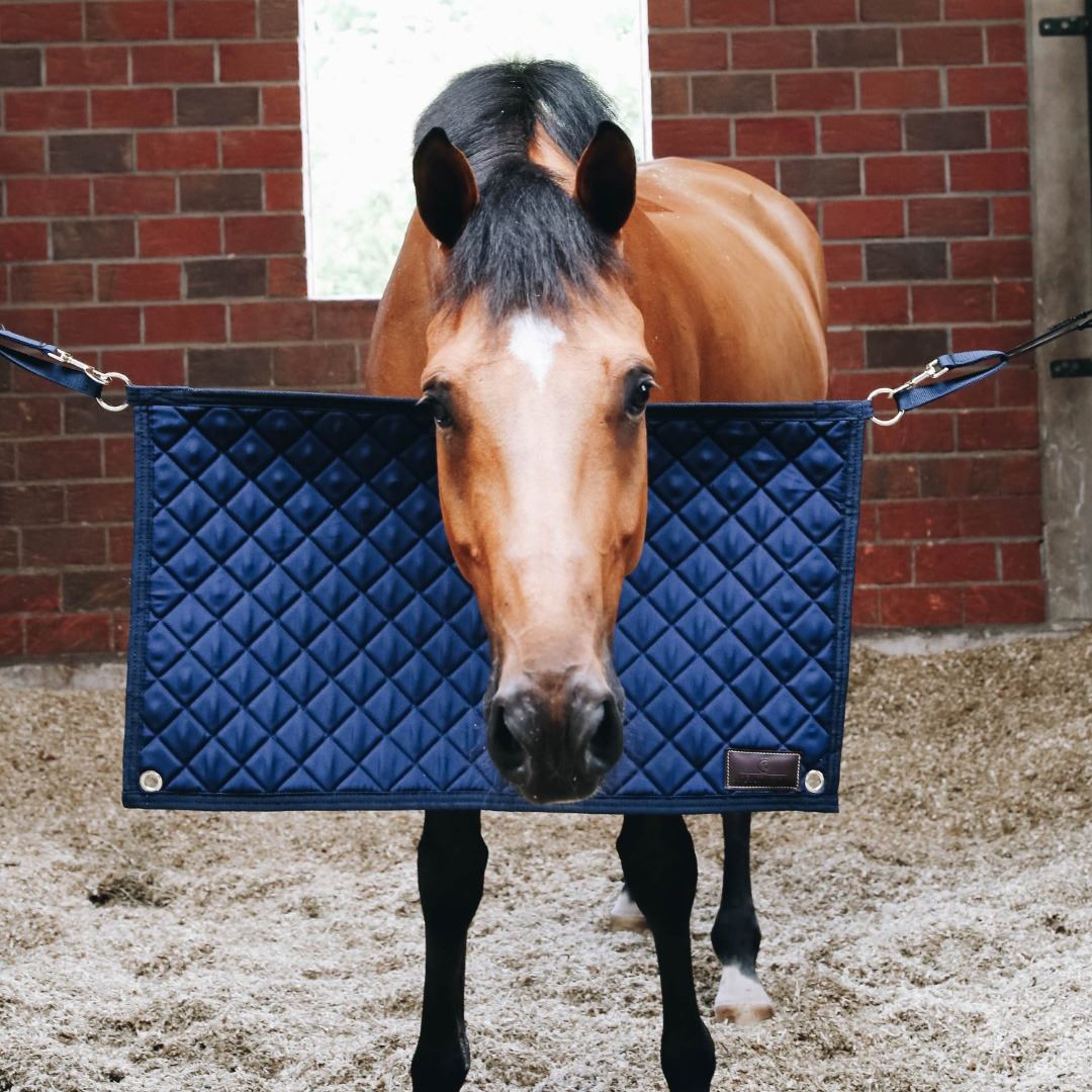 Kentucky Stable Guard