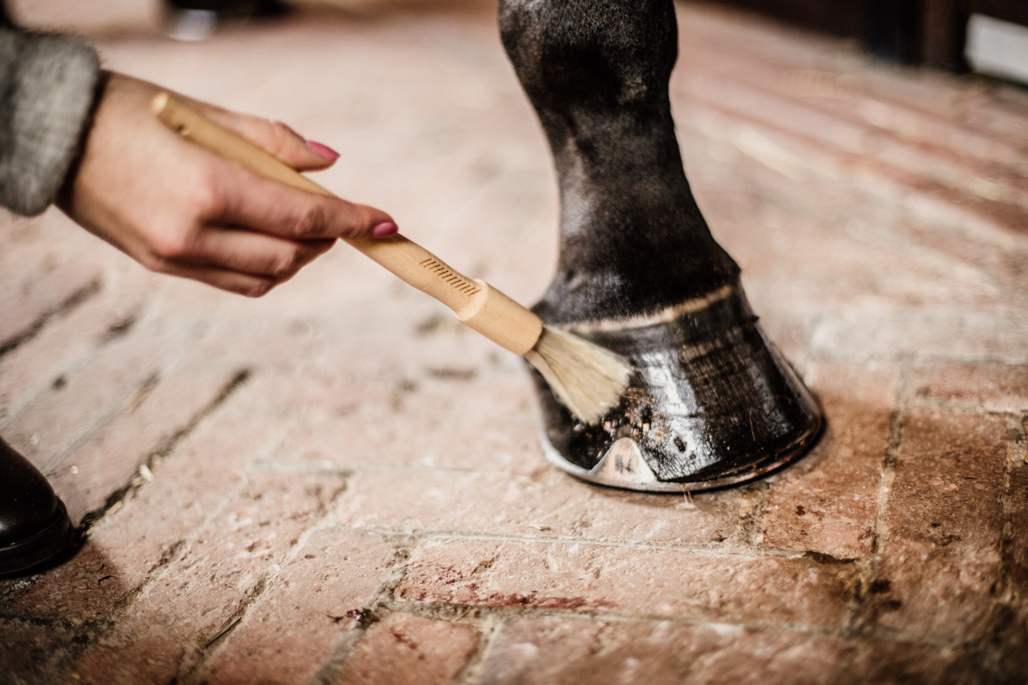 Grooming Deluxe Hoof Brush