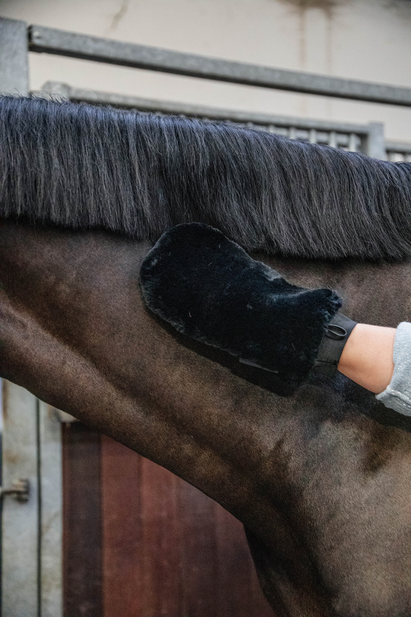 Grooming Deluxe Wool Grooming Glove