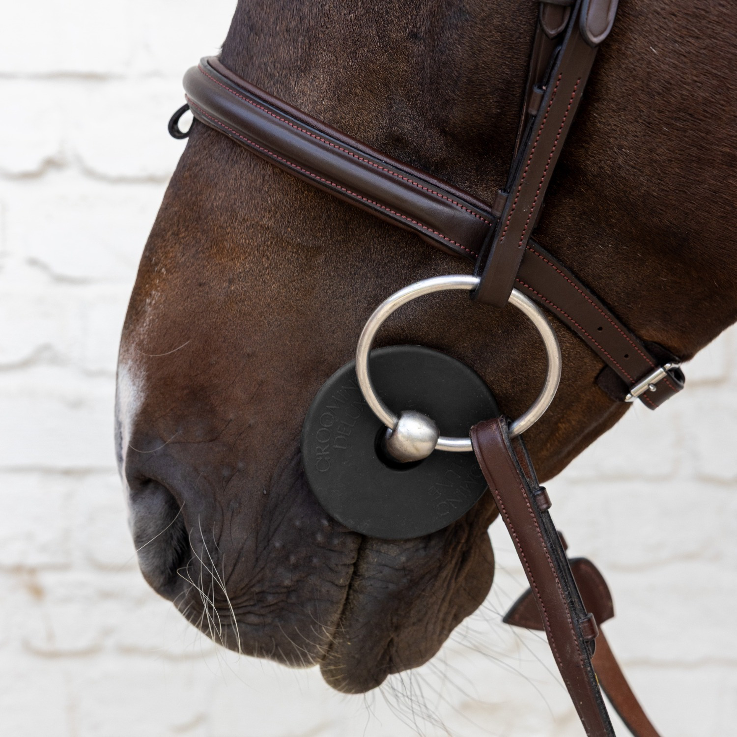 Grooming Deluxe Silikon-Gebissscheiben