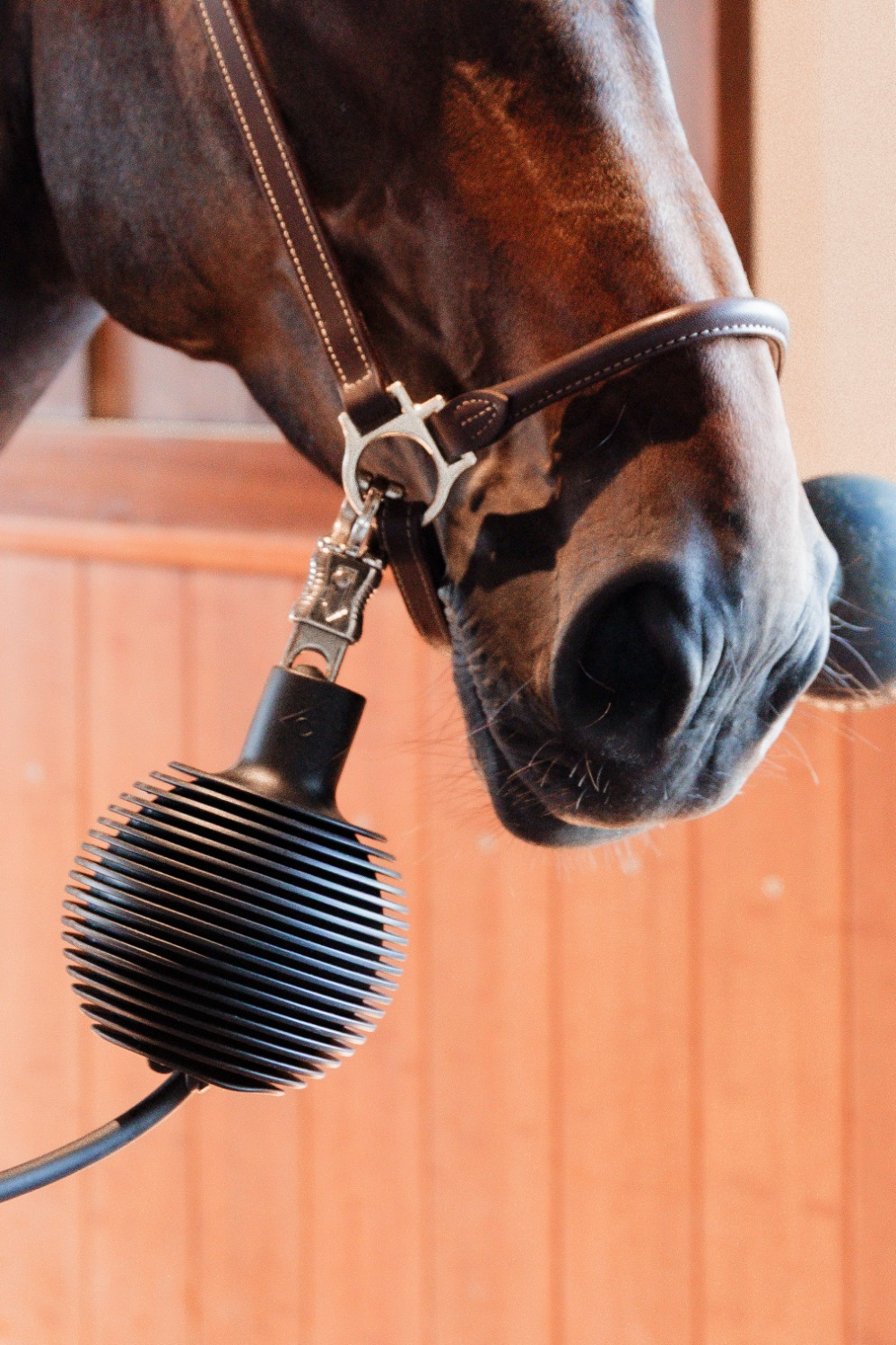 Grooming Deluxe Rubber Ball Pro for lead rope & wall protection