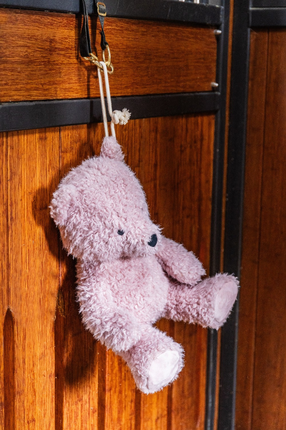 Kentucky Relax Horse Toy: Bear