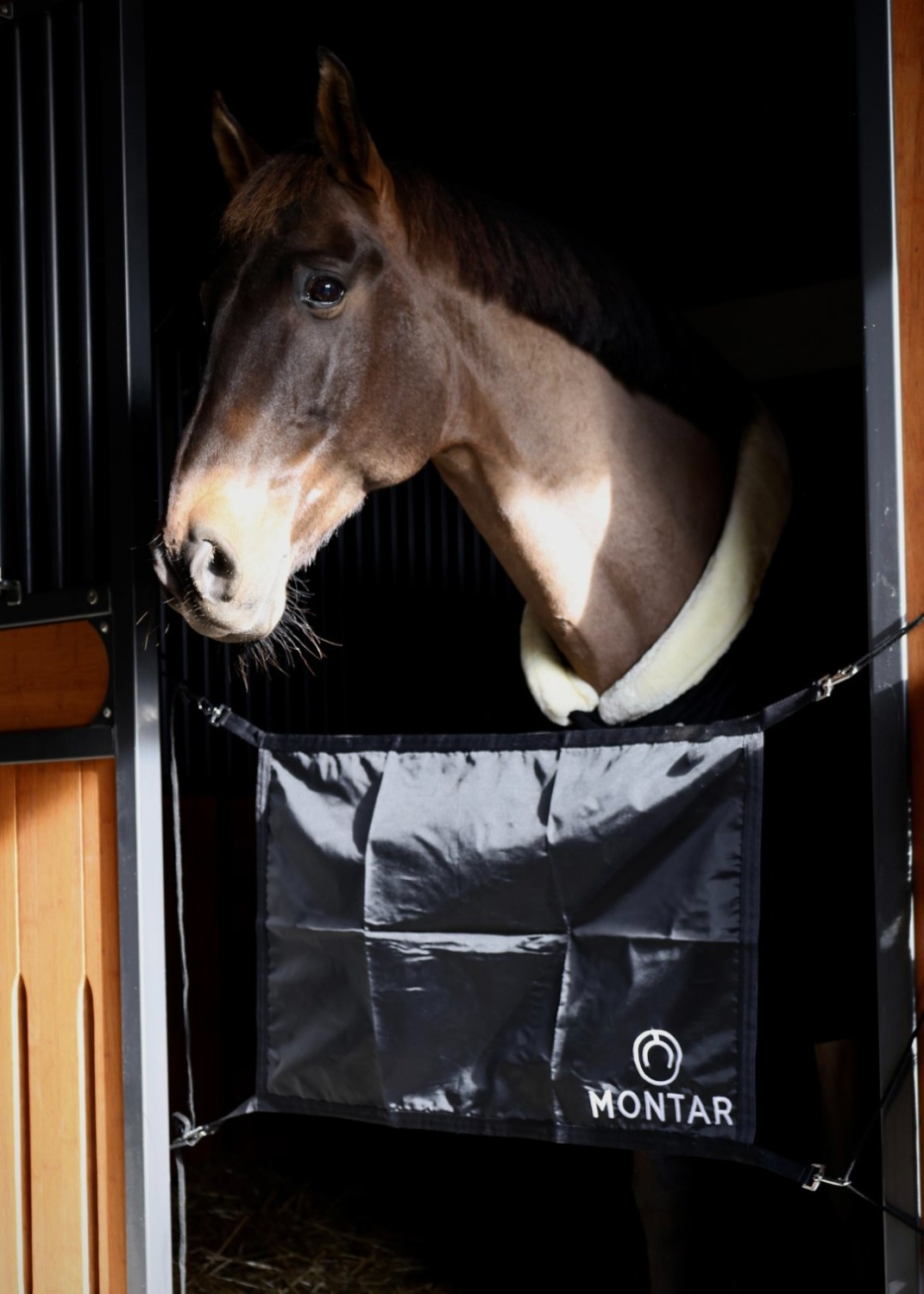 Montar Stableguard