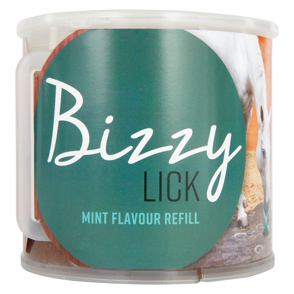 Bizzy Lick 1kg Mint