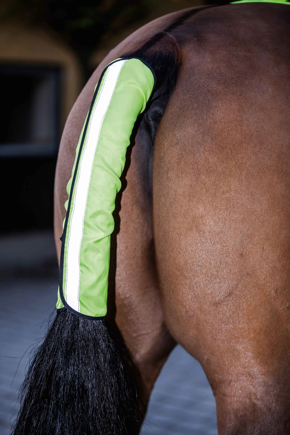 Covalliero Reflective Tail Guard