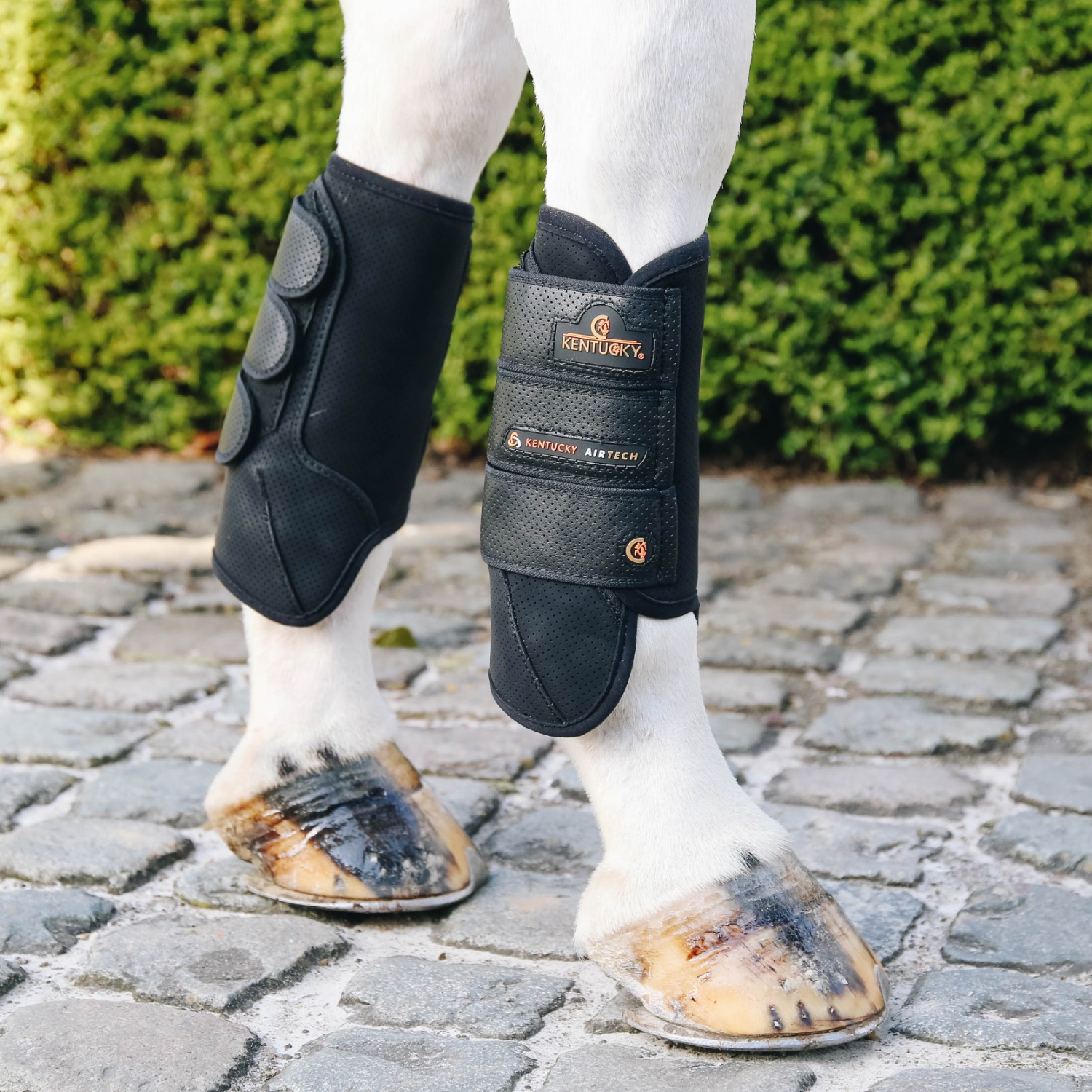 Kentucky Air Tech Eventing Gamaschen Vorne
