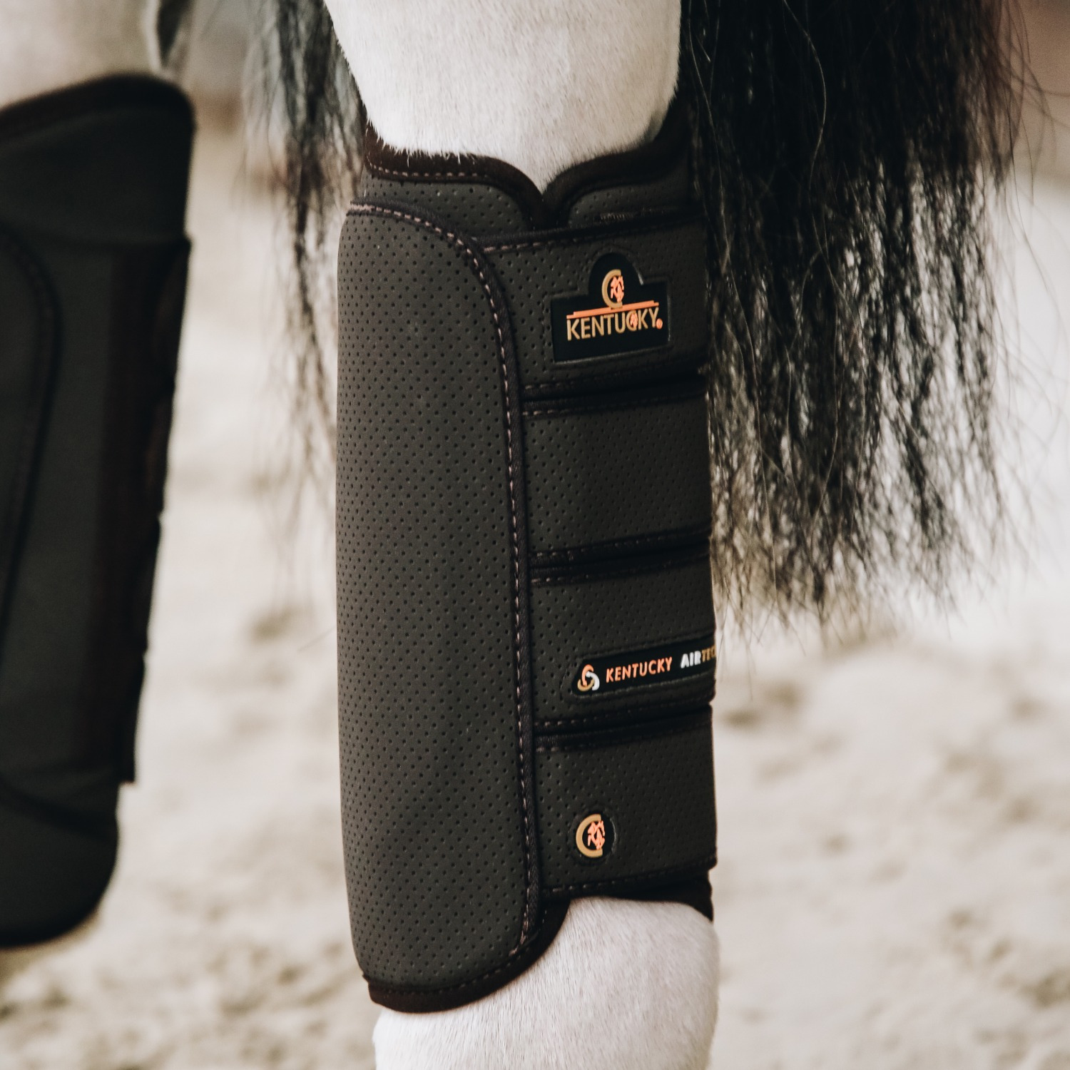Kentucky Air Tech Eventing Hintergamasche