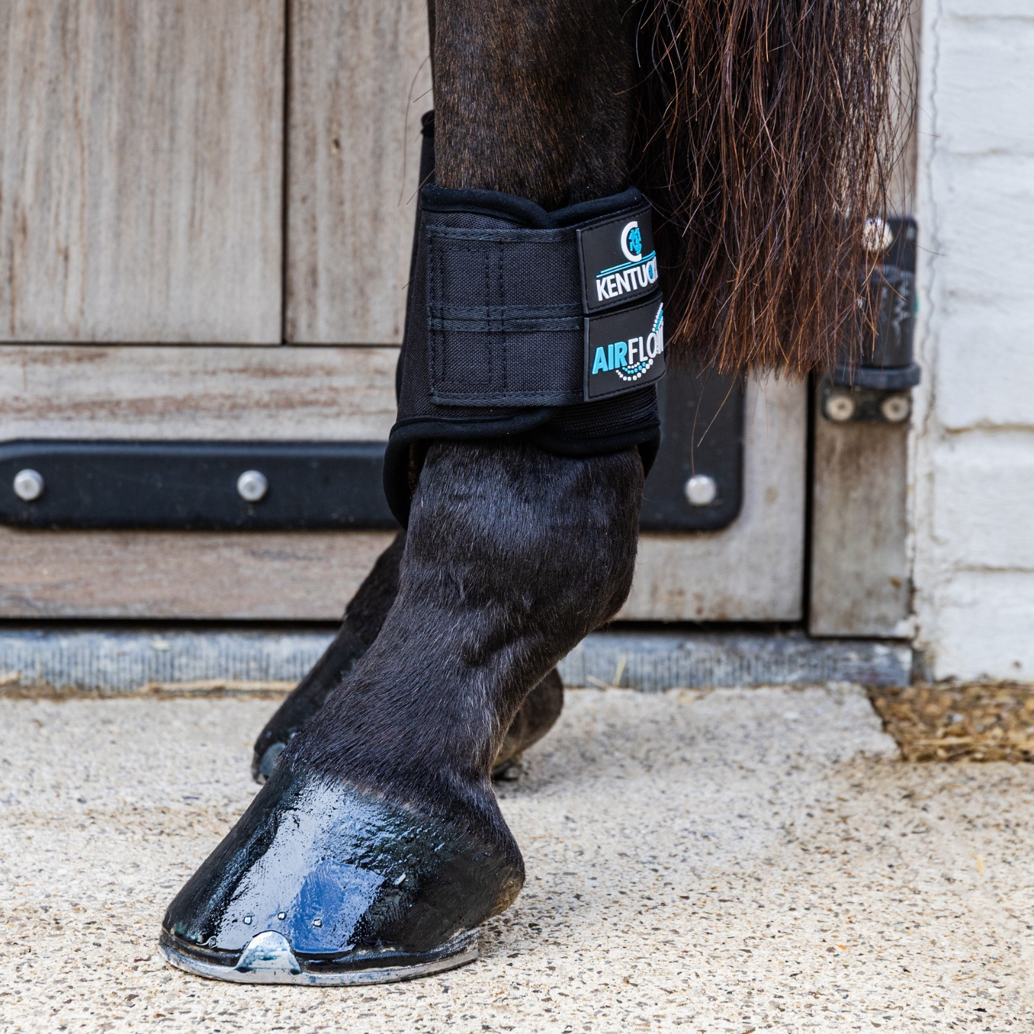 Kentucky 3D Air Flow Eventing Beschermers Achter Kort
