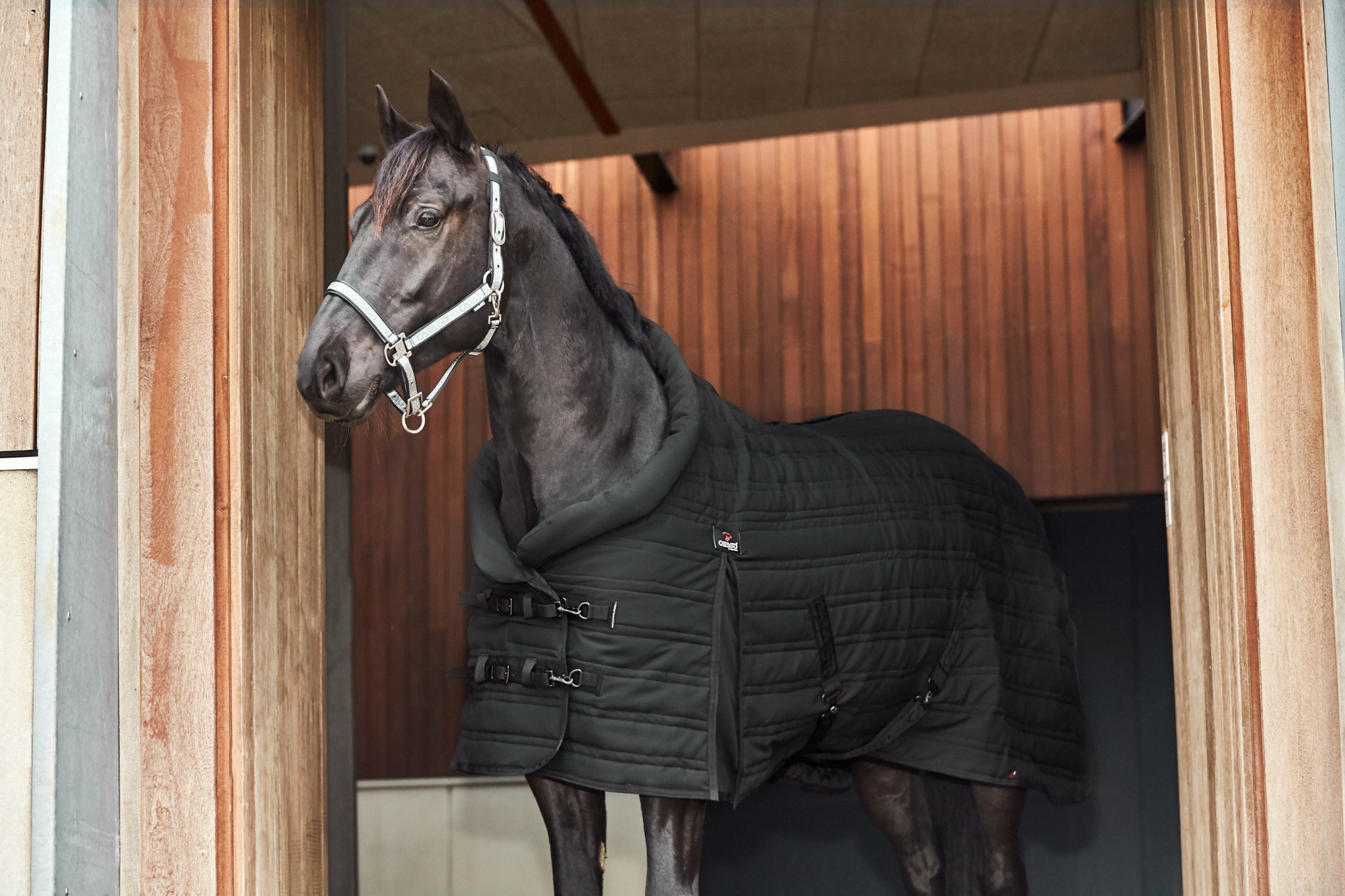 Catago Hybrid Stable Rug