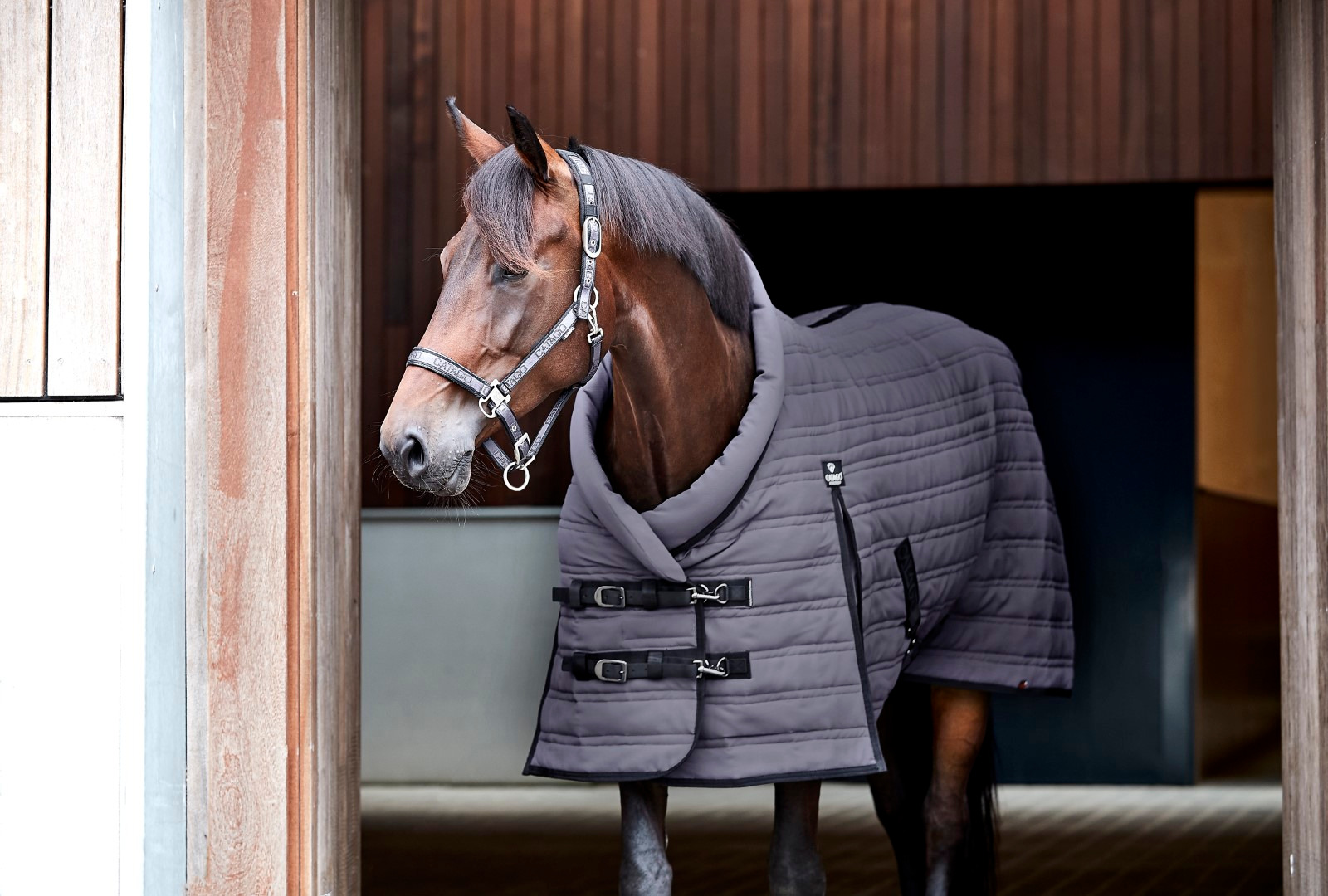 Catago Hybrid Stable Rug