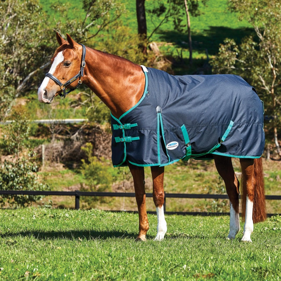 Weatherbeeta ComFiTec Classic Standard-Neck Medium 220g Black/Green