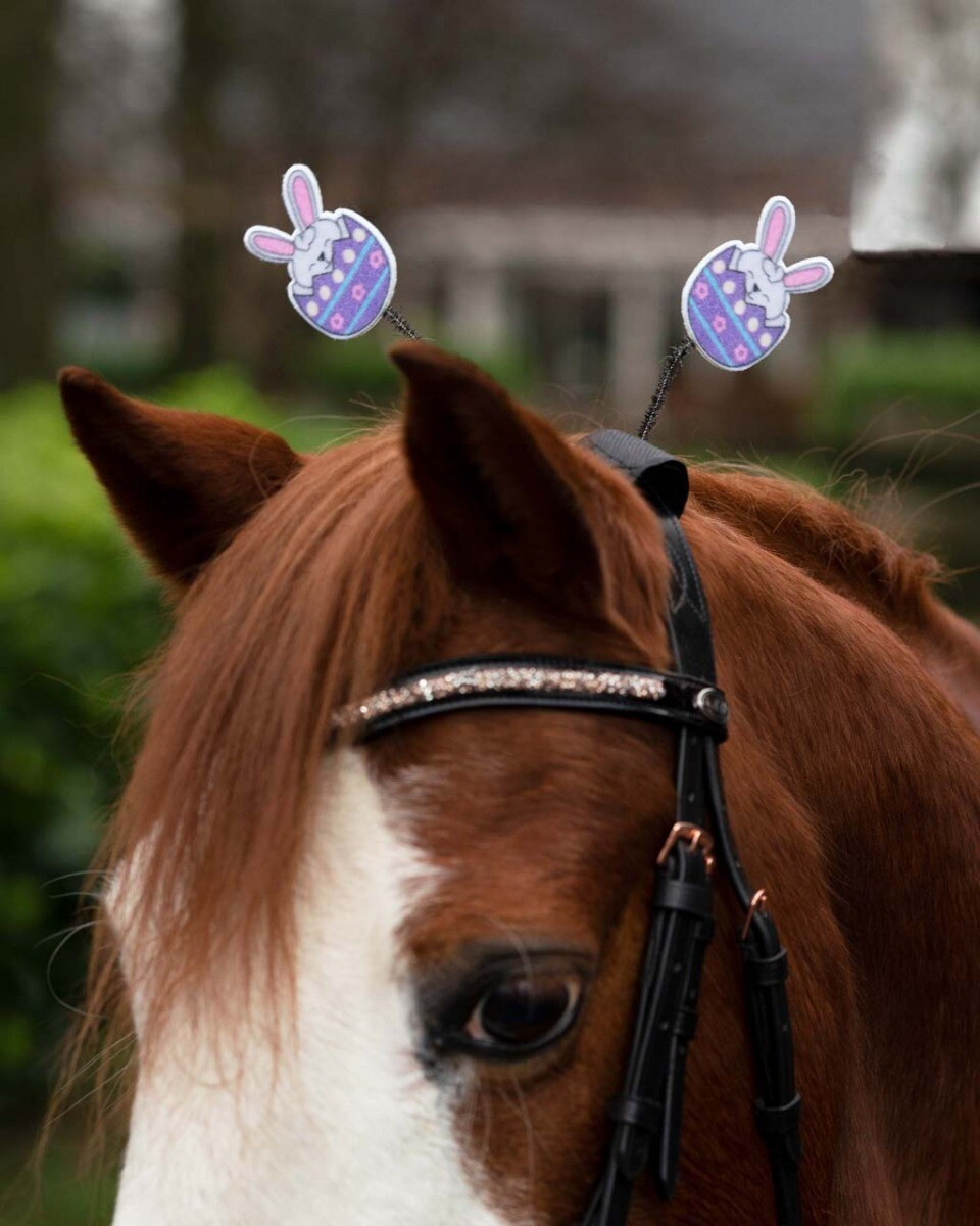QHP Headpiece Accessory Easter