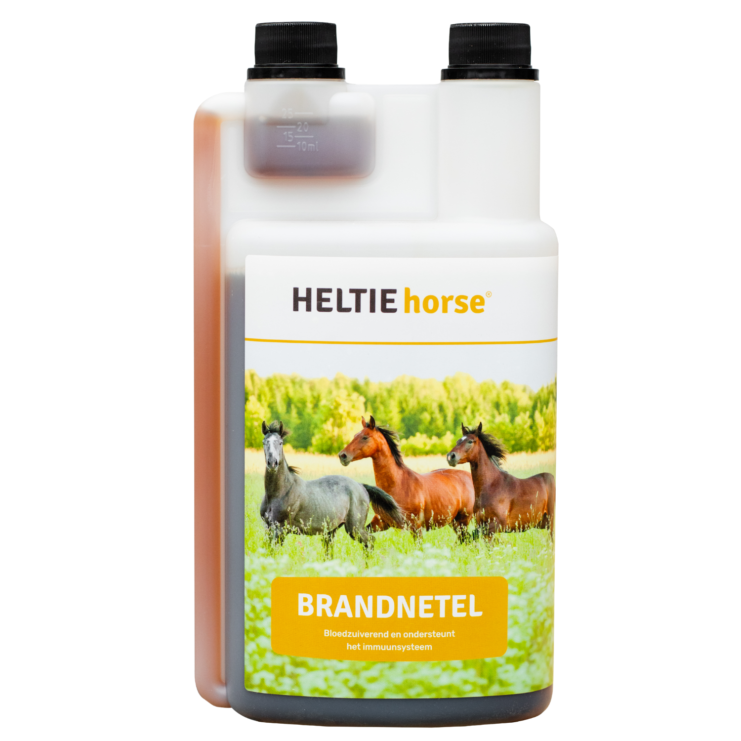 HELTIE horse Nettle