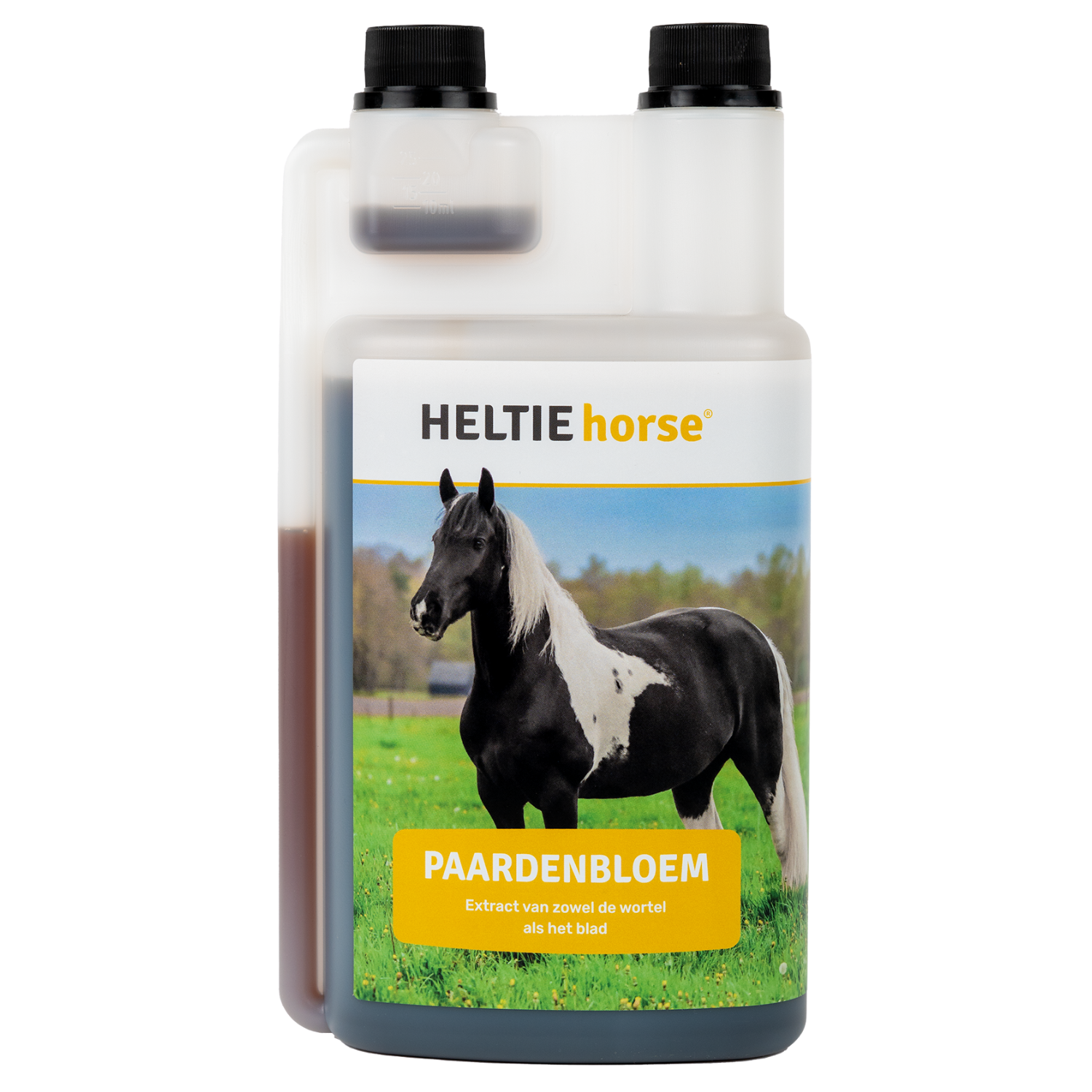 HELTIE horse Dandelion