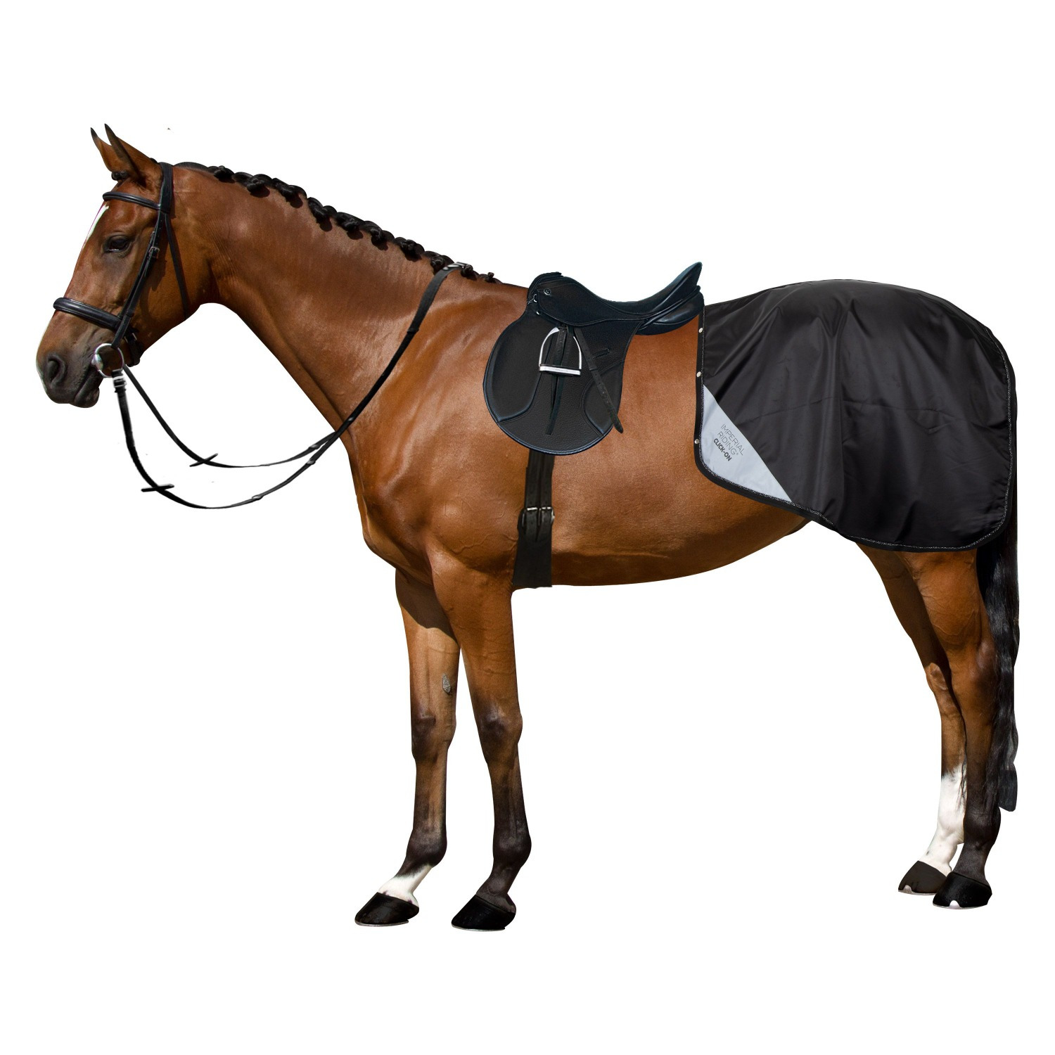 Imperial Riding FW'24 Multiride Exercise Sheet