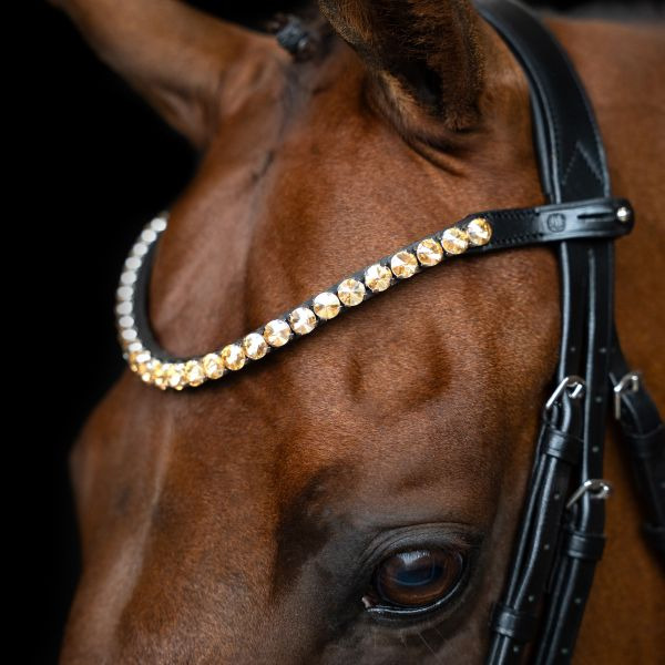 Imperial Riding SS26 Browband IRHGrande