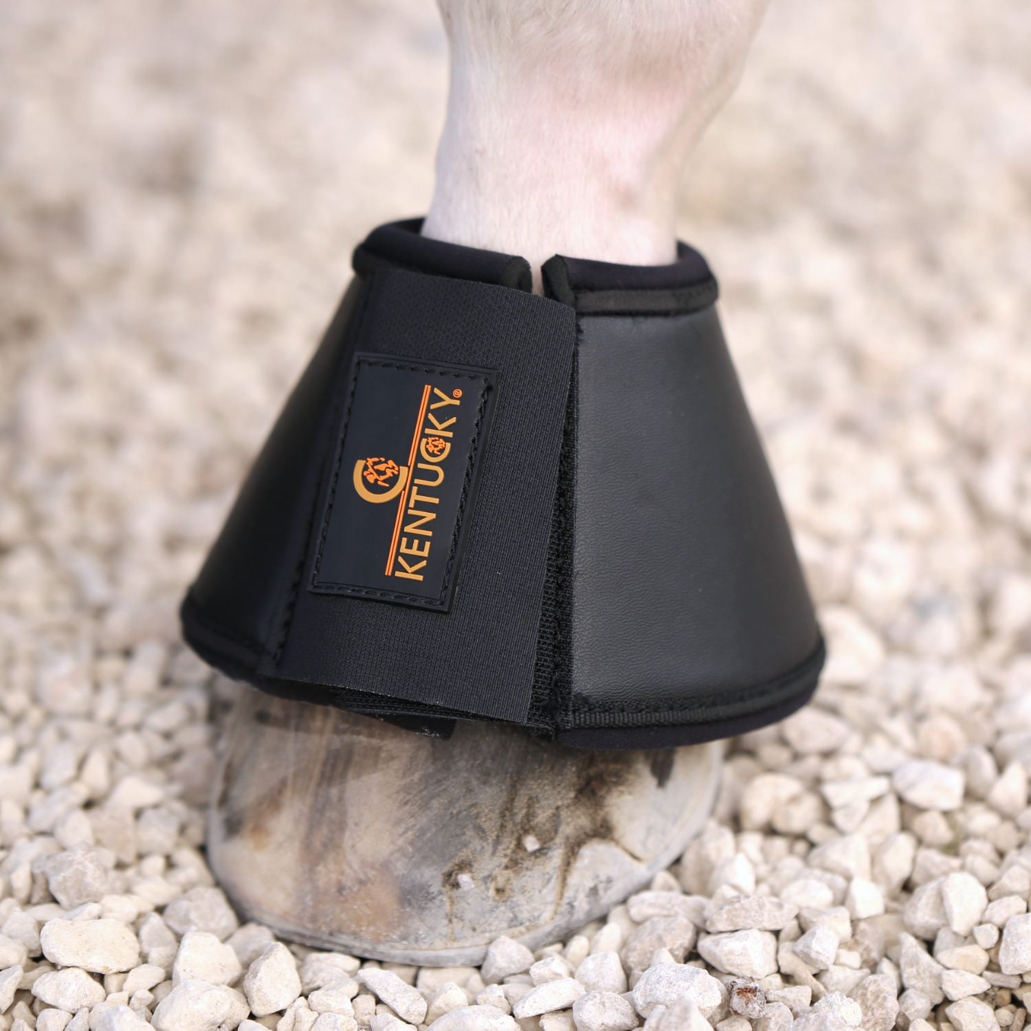 Kentucky Leder Hufglocken