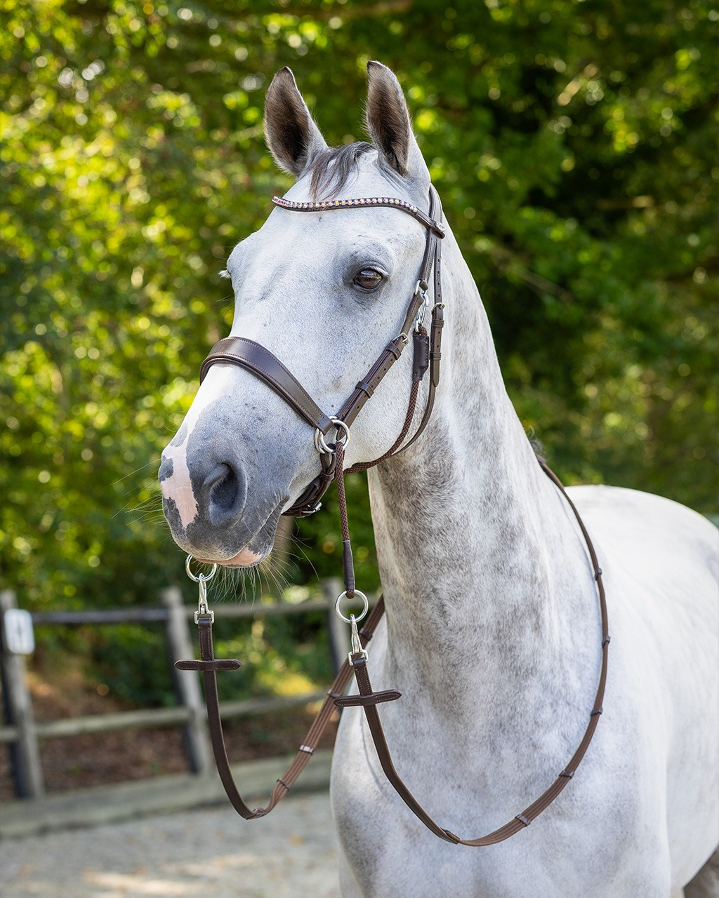 QHP Bitless Bridle Sunna