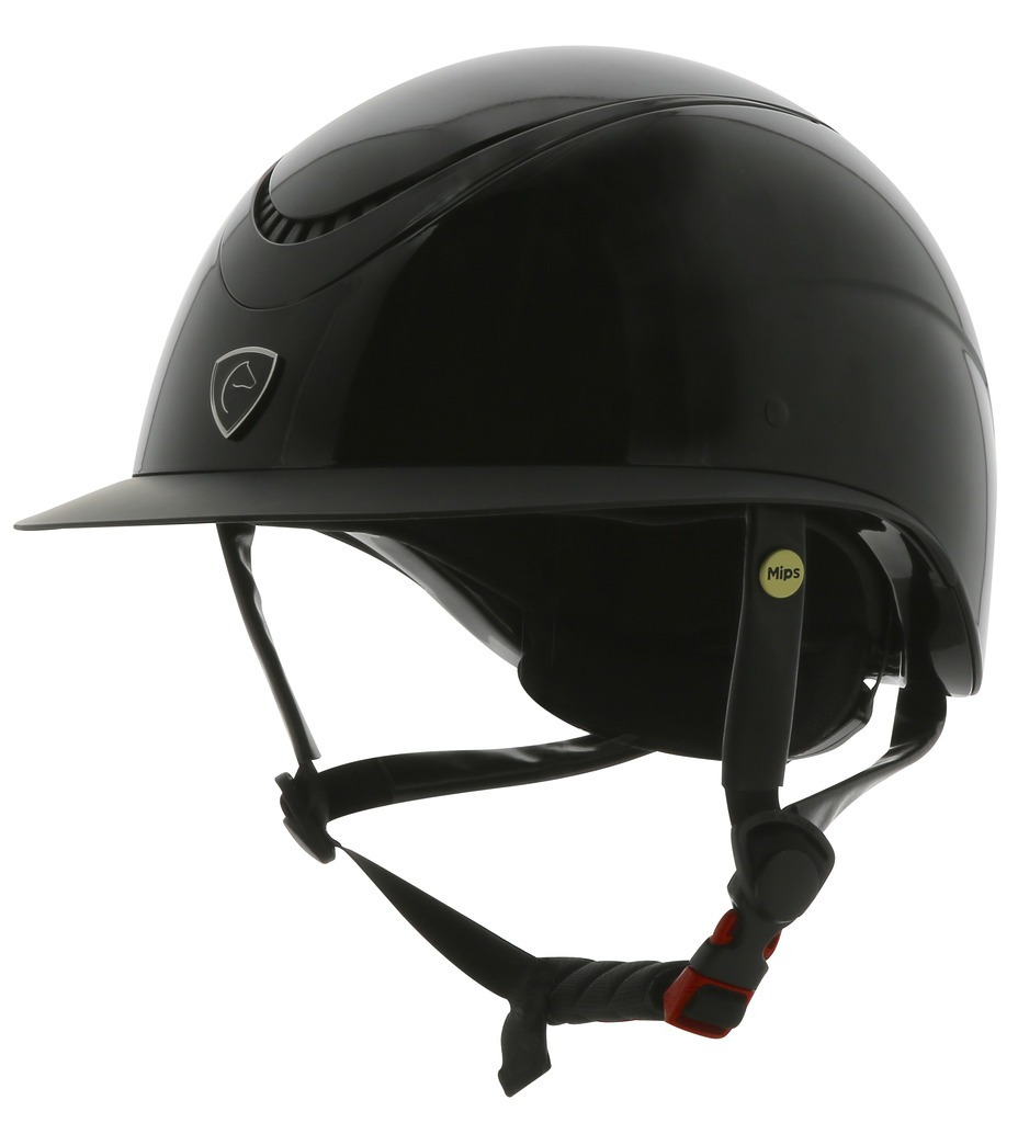 Equithème Wings Helmet MIPS Glossy