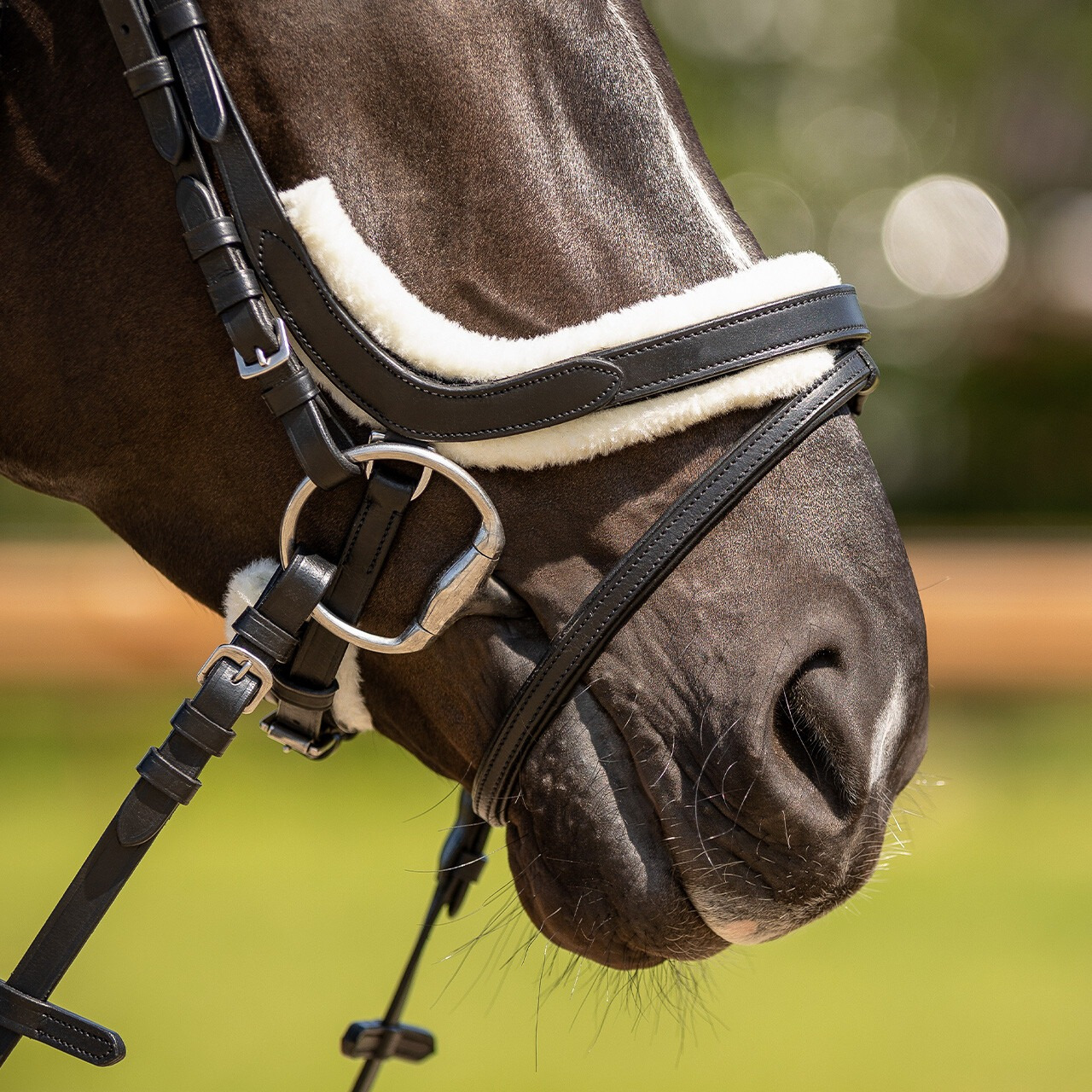 QHP Hoofdstel Sensisoft bontset