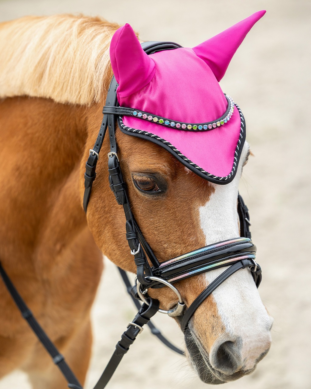 QHP FW26 Isalyn Bridle