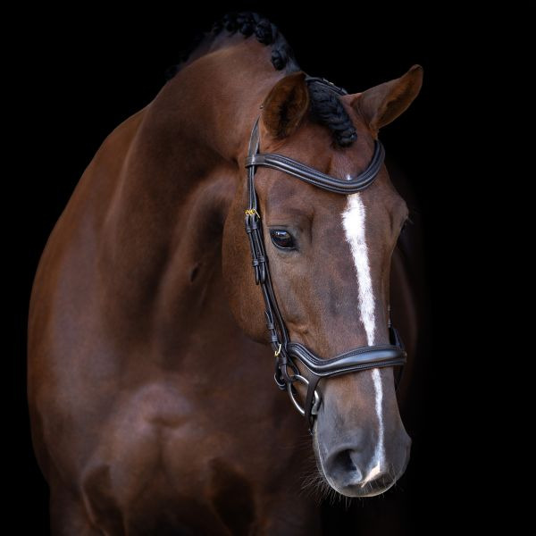 Imperial Riding Snaffle Bridle IRH with ergonomic drop noseband/flash strap