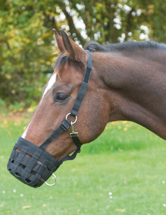 Covalliero Grazing Muzzle