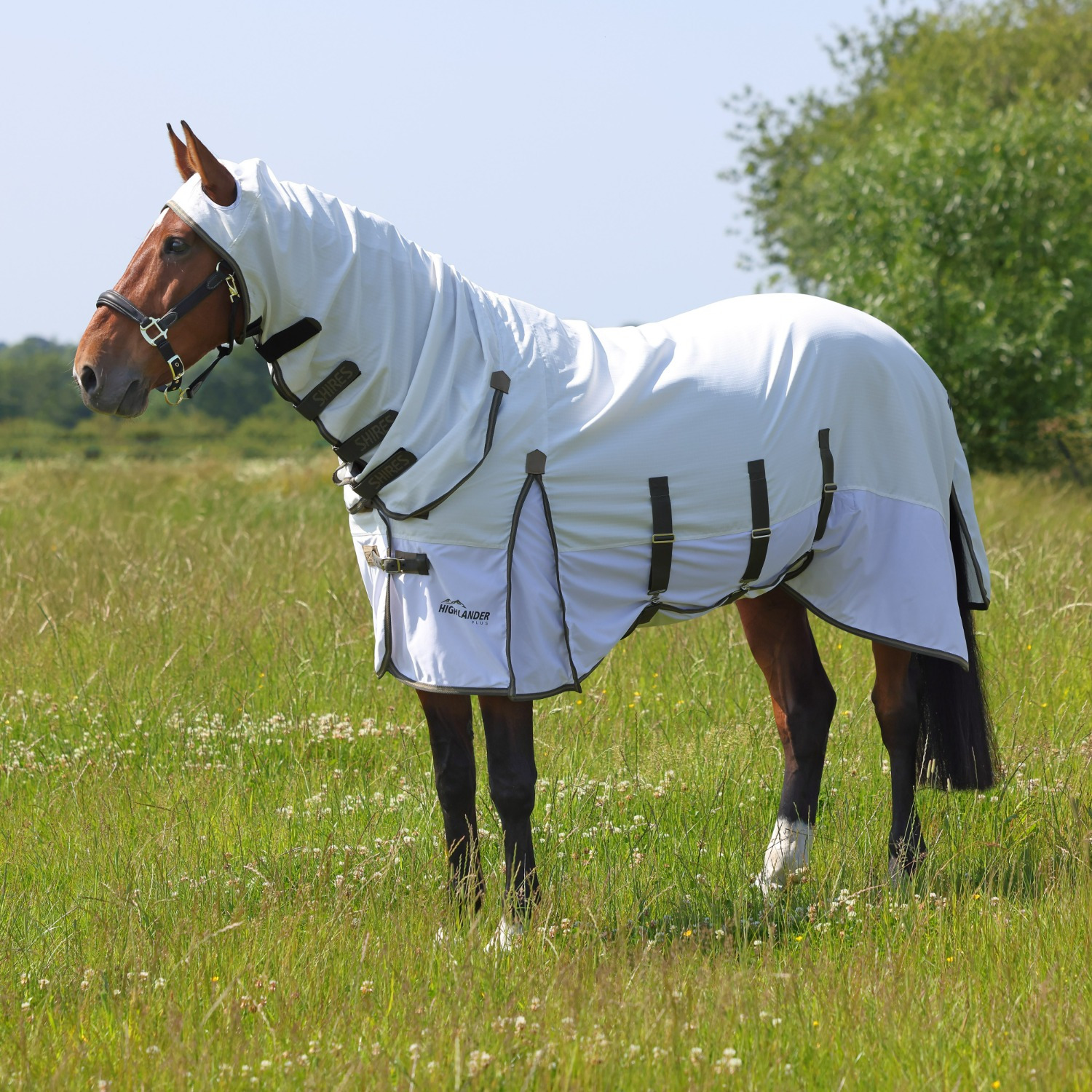 Shires Highlander Plus Sun Shade Fly Combo Sheet