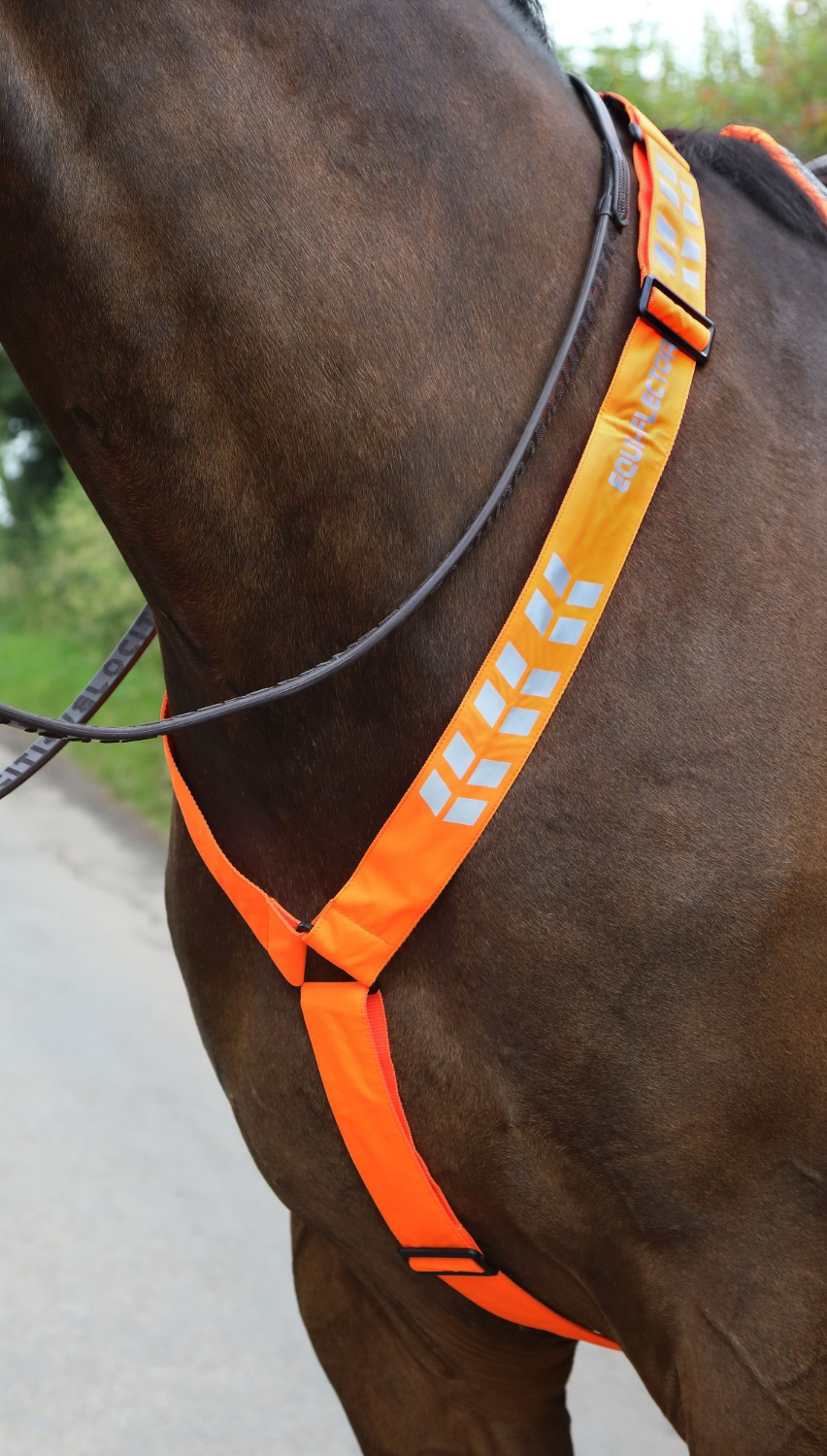Shires Equi-Flector Borsttuig