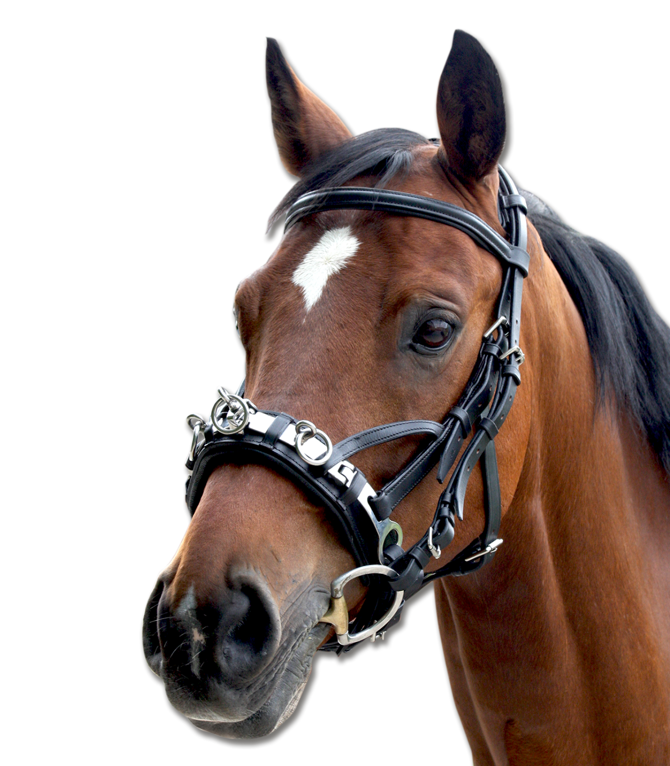 Waldhausen Cavesson Leather