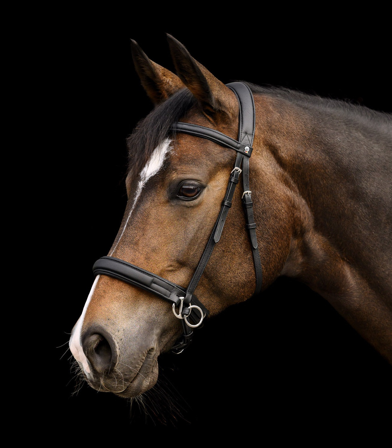 Waldhausen X-Line Bitless Bridle Supersoft