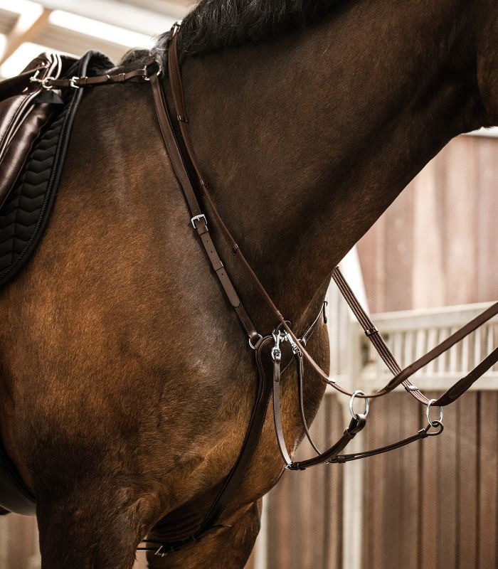 Waldhausen X-Line Breastplate Professional
