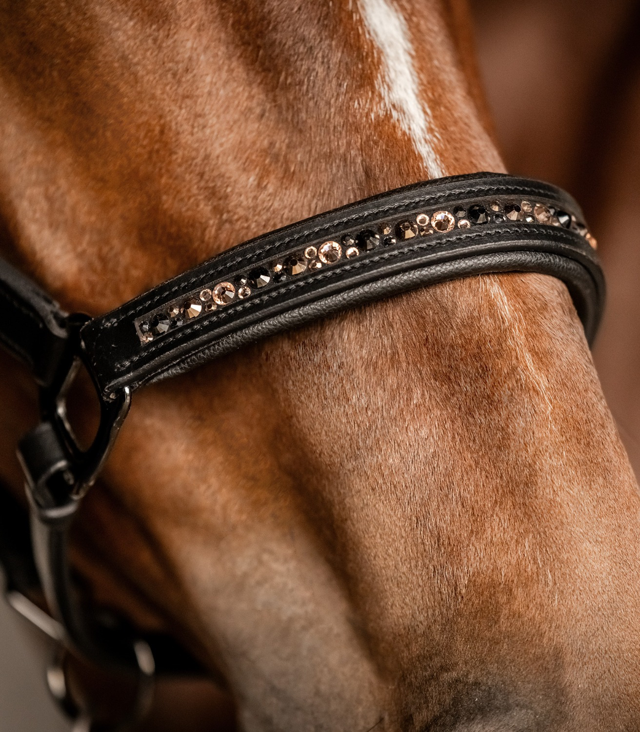 Waldhausen X-Line Leather Halter Crystal