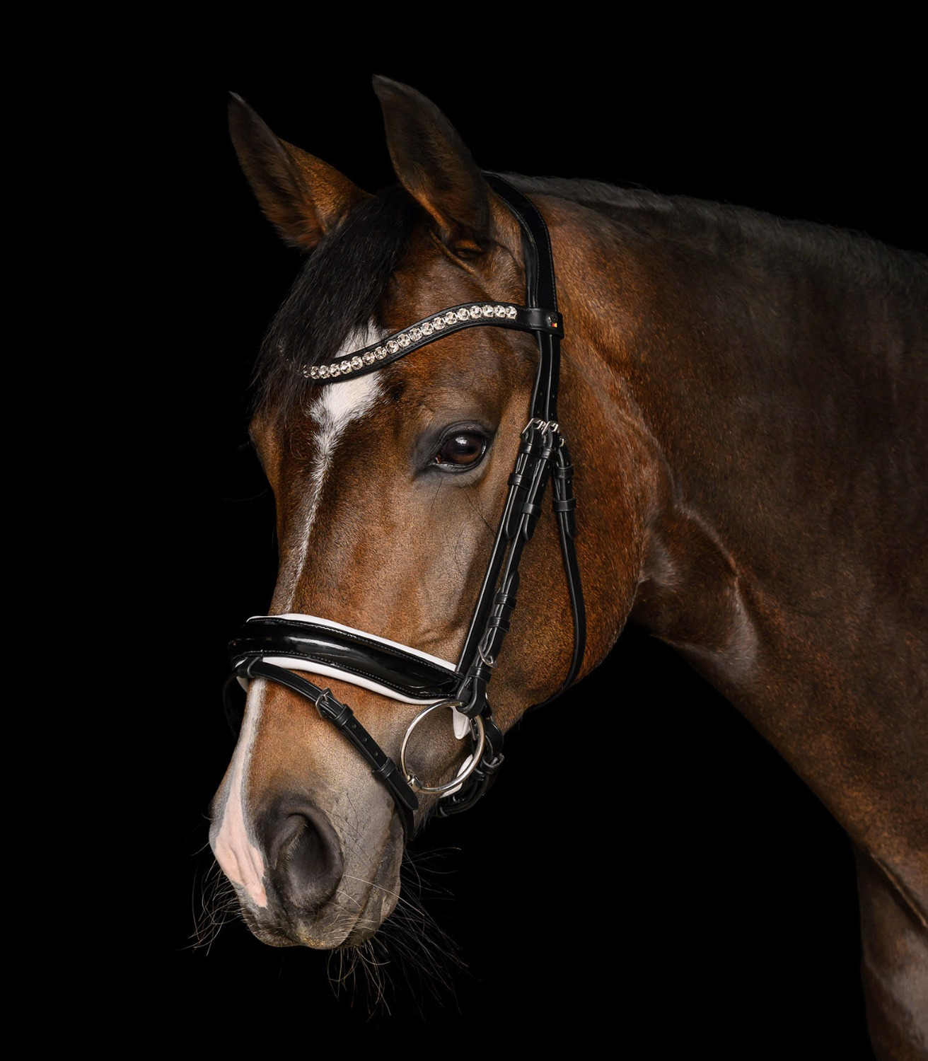 Waldhausen X-Line Bridle Evermore