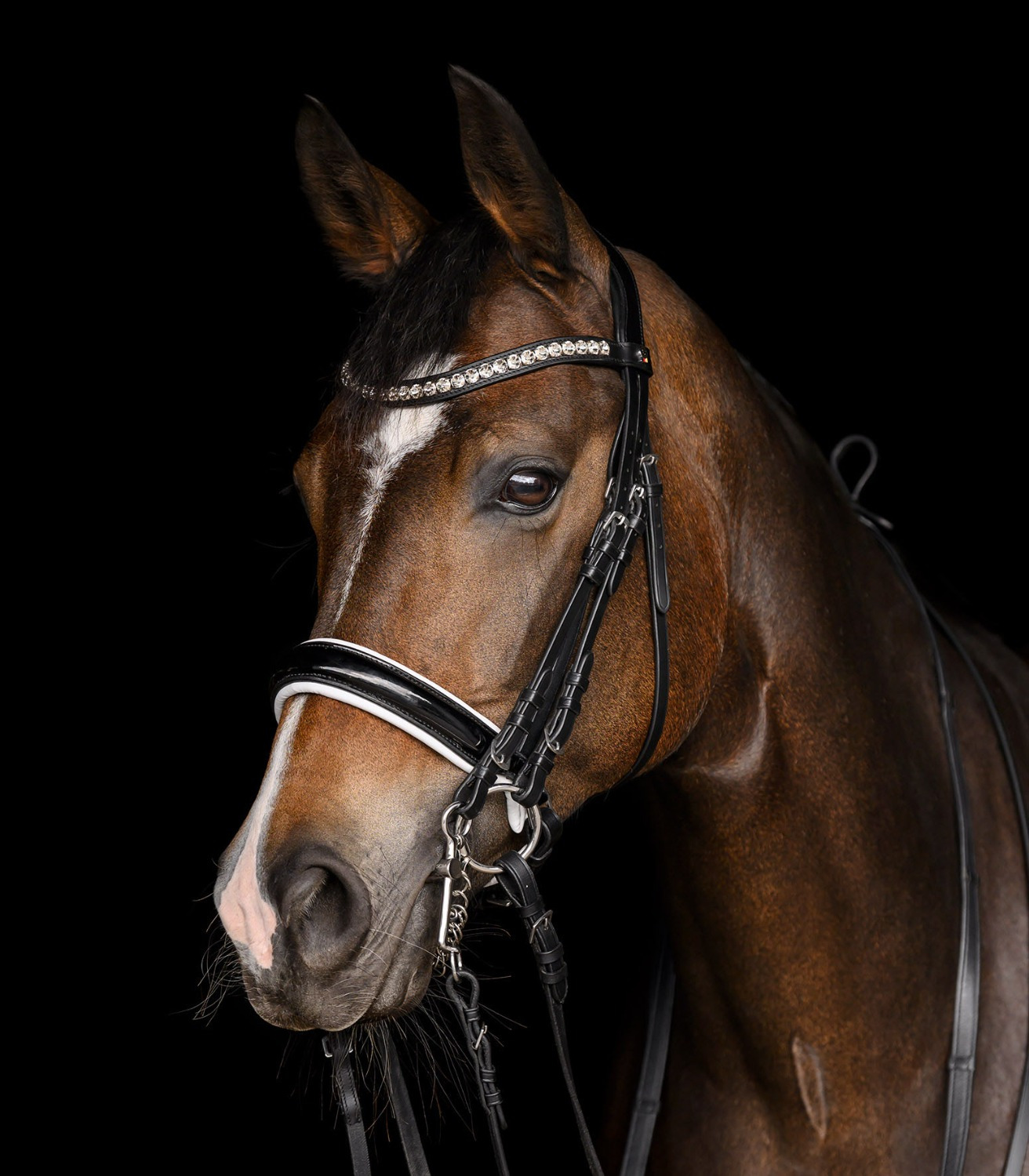 Waldhausen X-Line Double Bridle Evermore