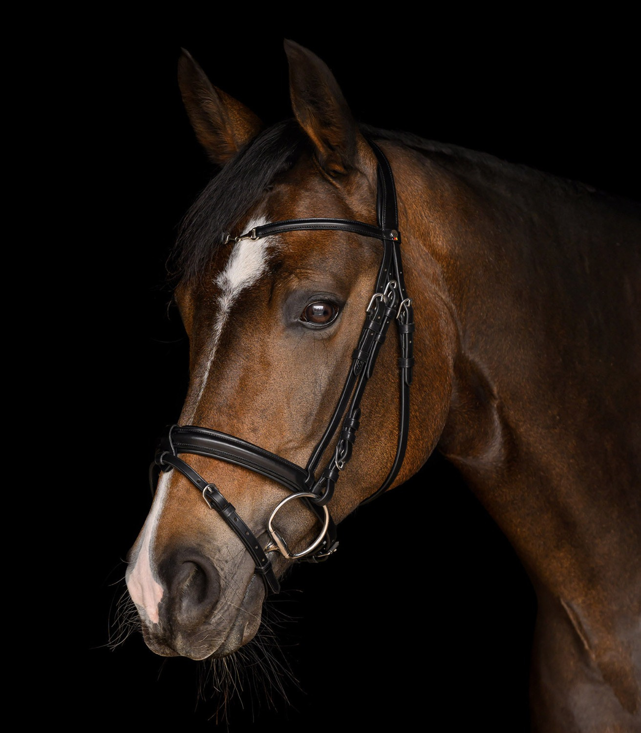 Waldhausen X-Line Bridle Charmbit