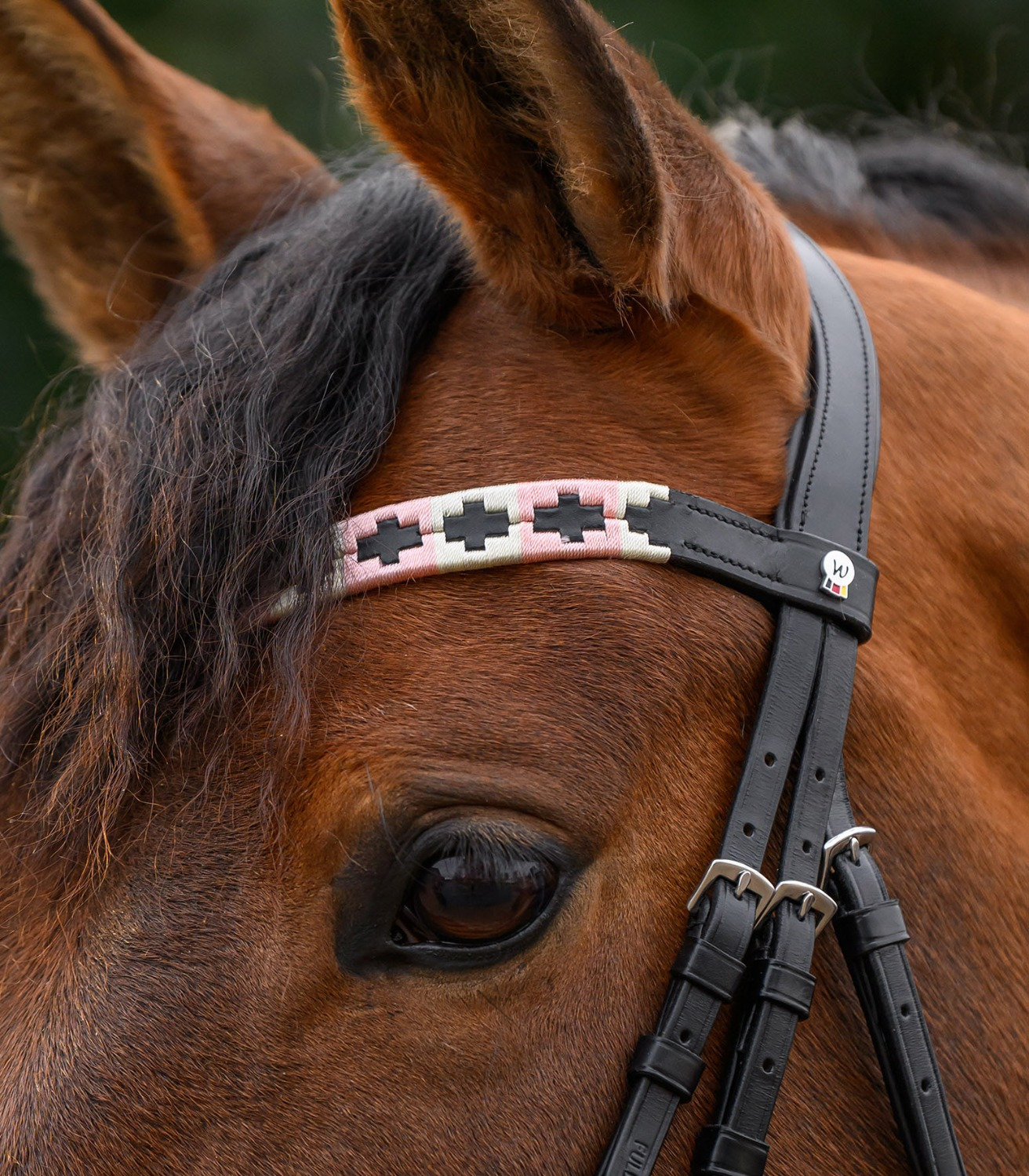 Waldhausen X-Line Browband Polo