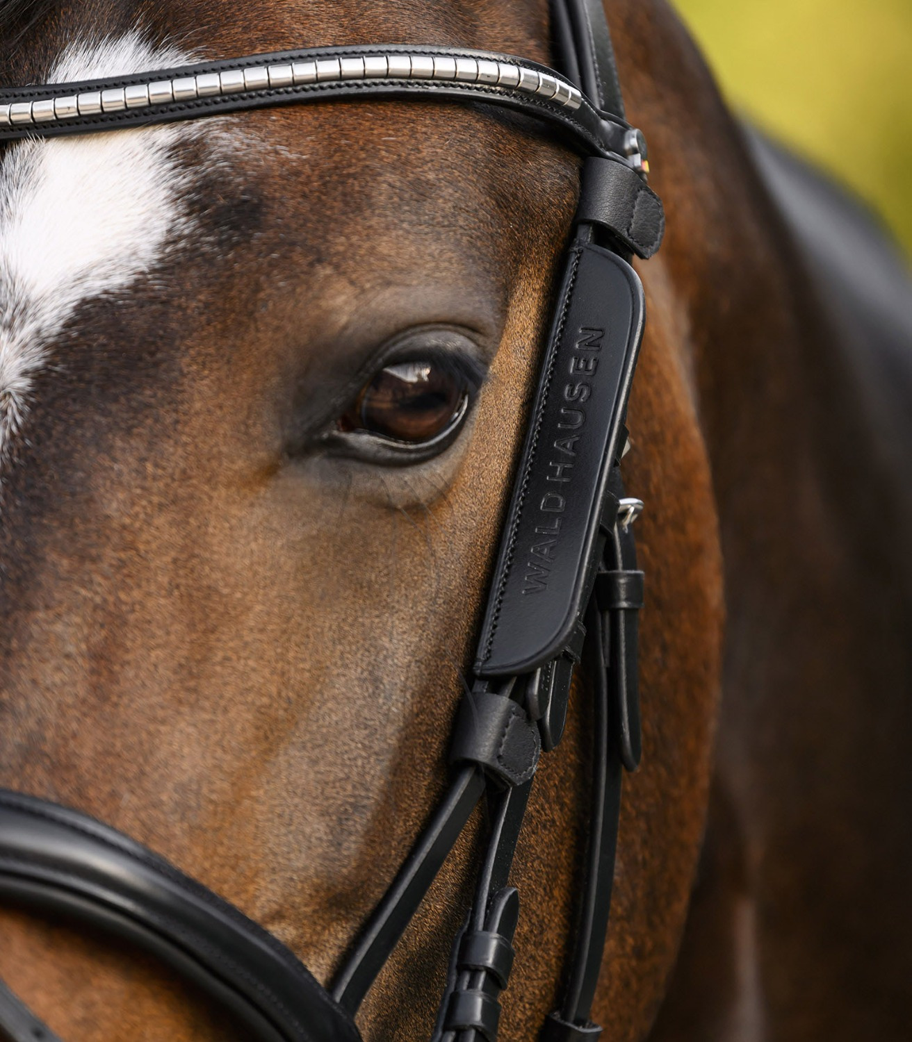 Waldhausen Blinkers