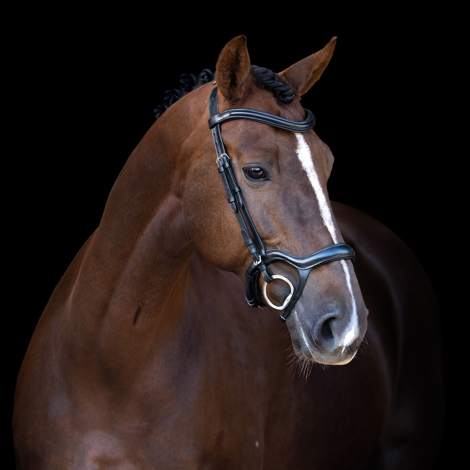 Imperial Riding Snaffle Bridle IRH with ergonomic drop noseband/flash strap