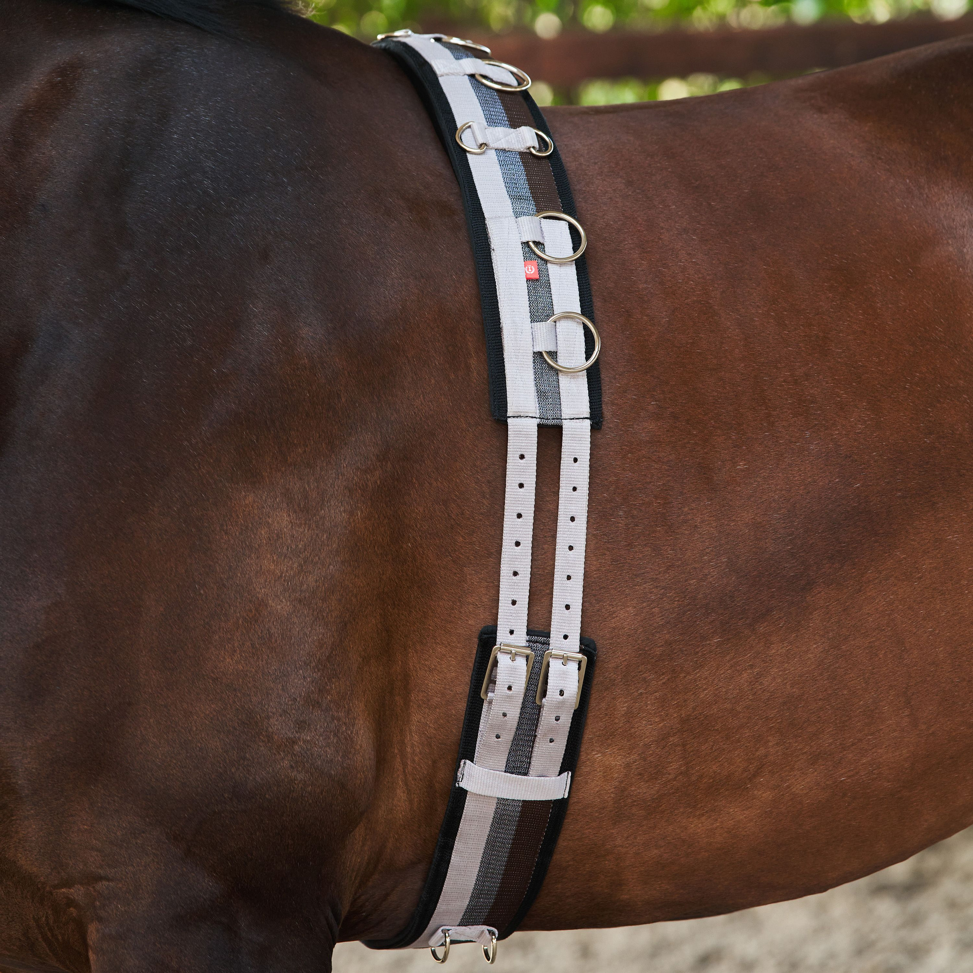 Imperial Riding FW26 Lunging Girth IRHDeluxe Extra