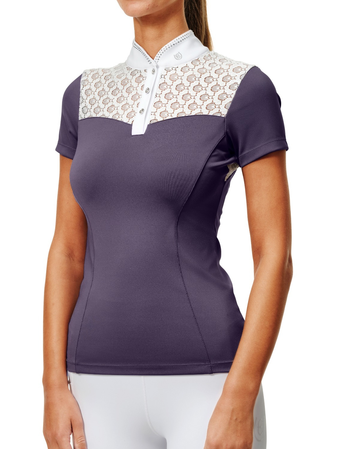 Equestrian Stockholm Crystal Champion Competition Top