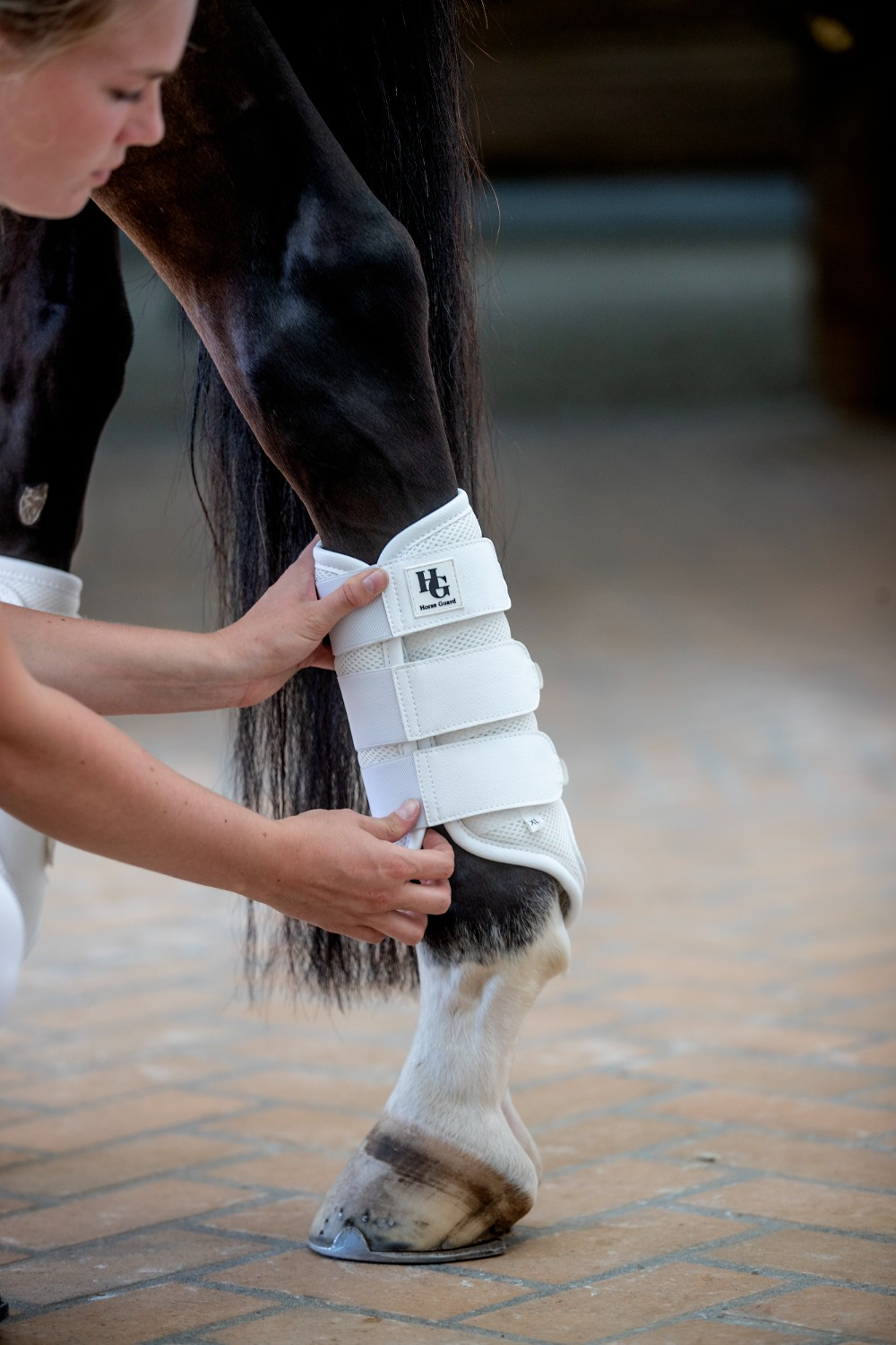 Horseguard Dressurstiefel Timothy