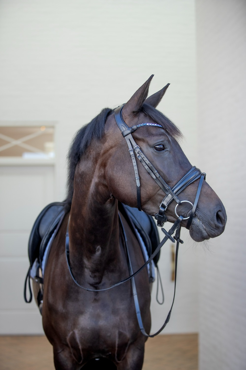 Catago Tori Bridle